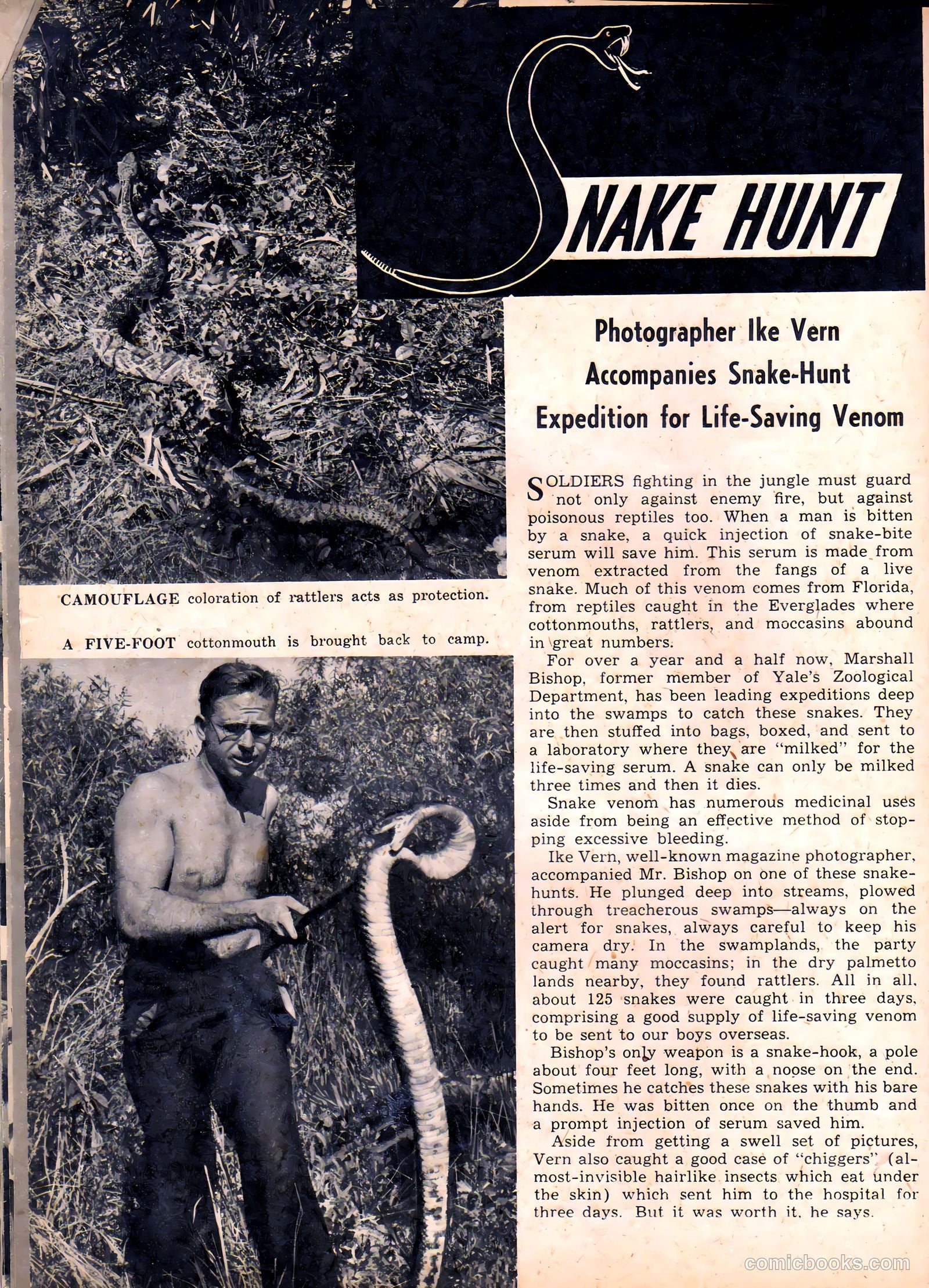 Camera Comics #3 (1944) — page 32 of 52