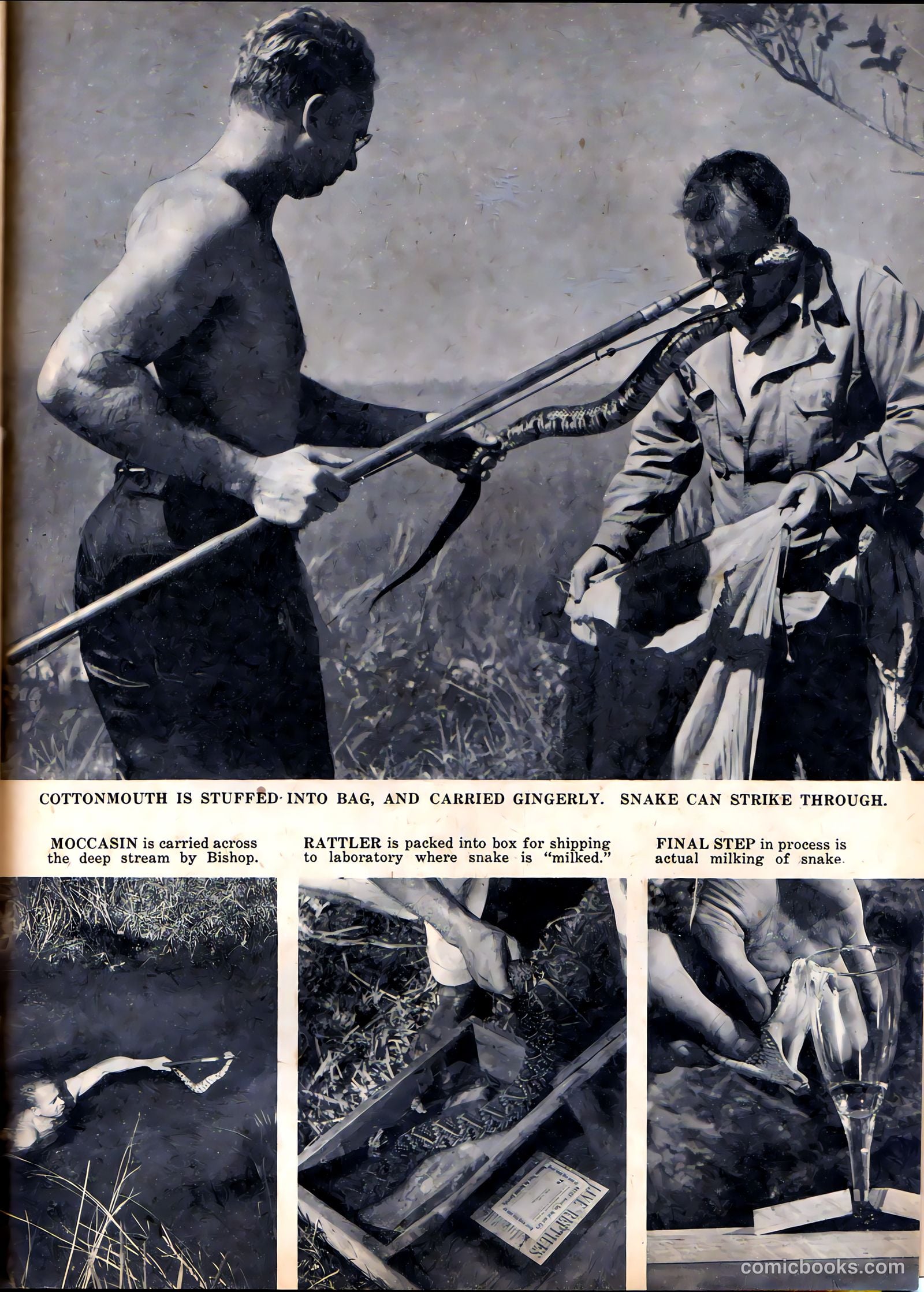 Camera Comics #3 (1944) — page 33 of 52
