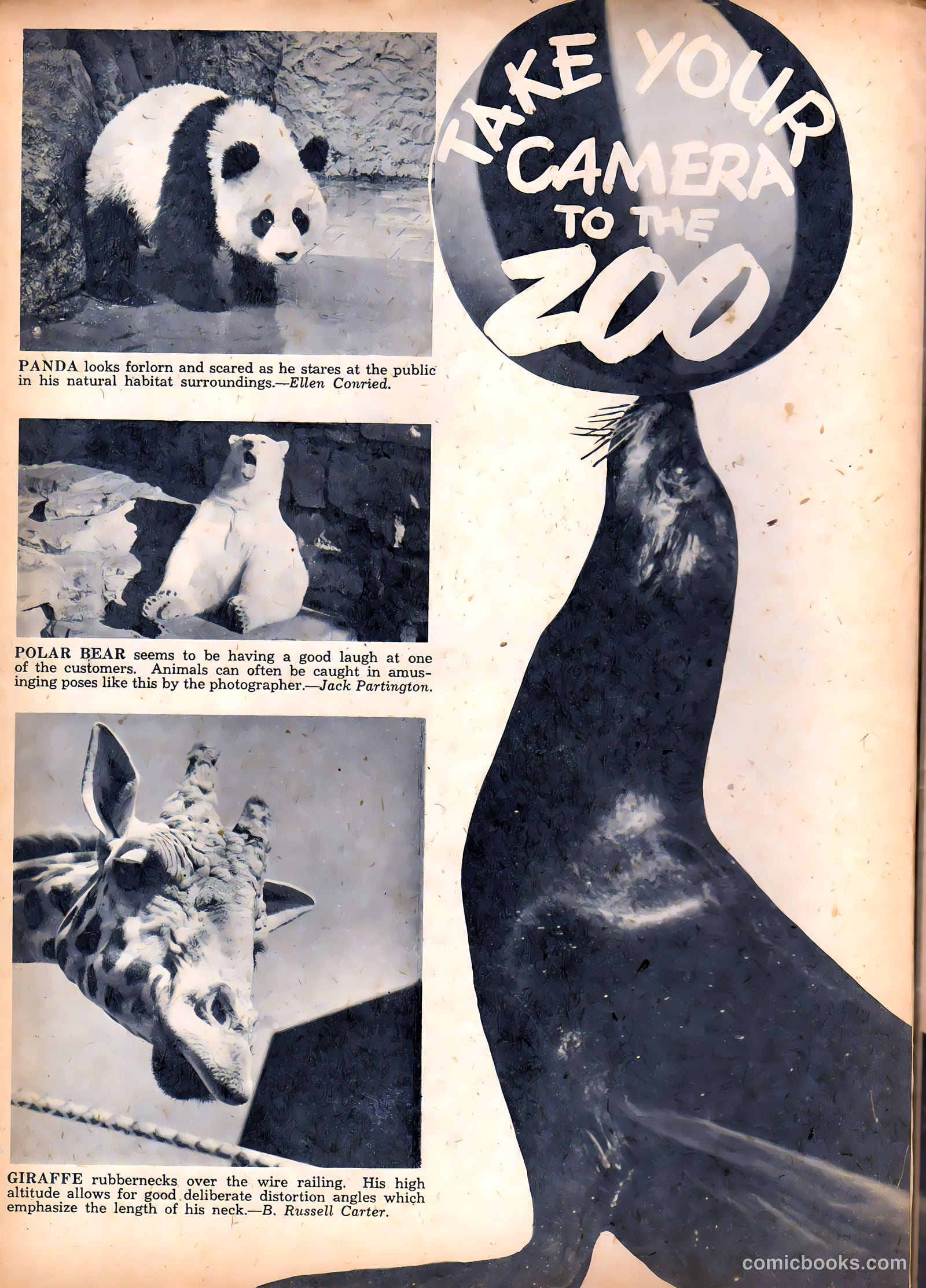 Camera Comics #4 (1945) — page 22 of 52