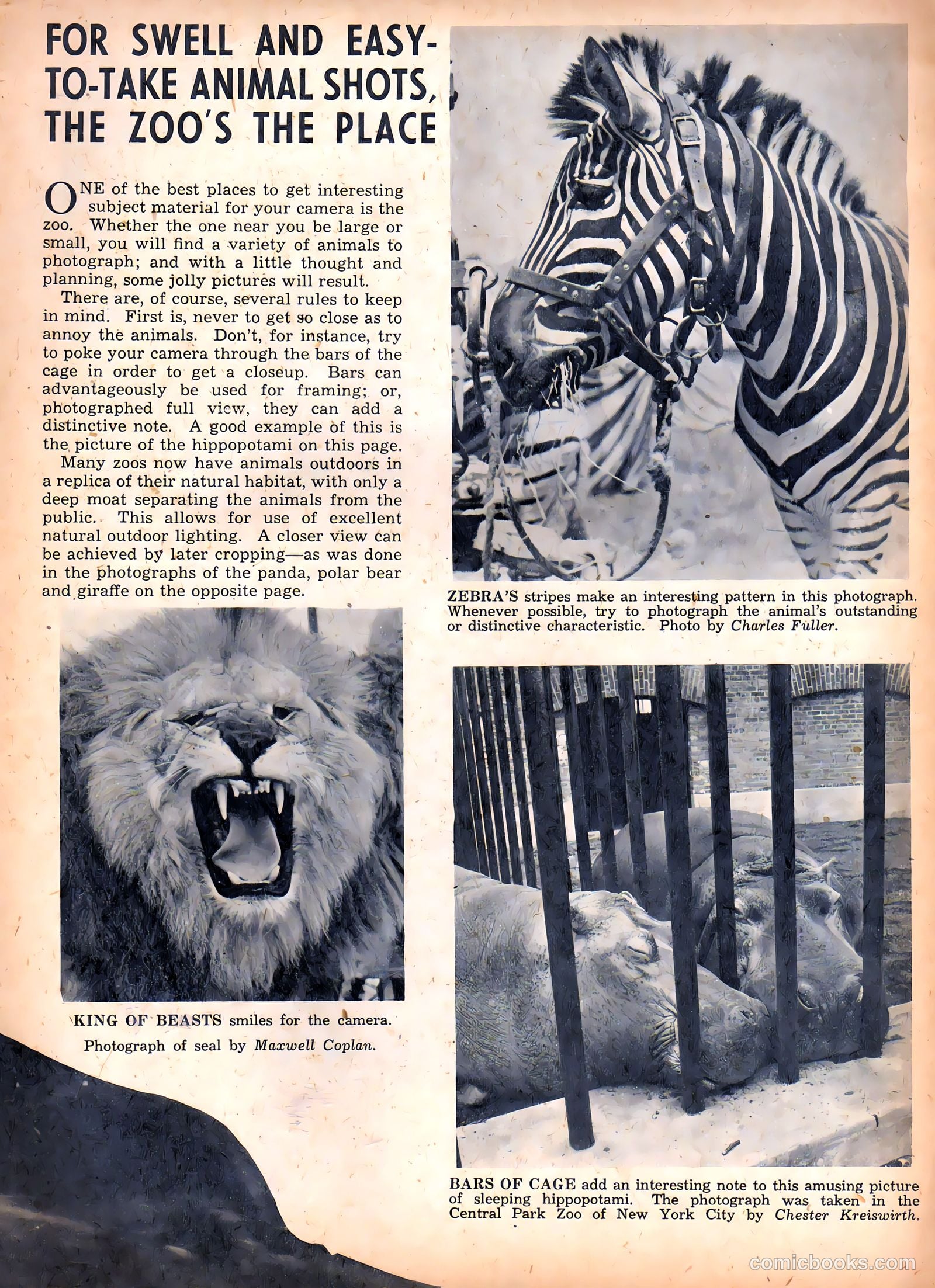 Camera Comics #4 (1945) — page 23 of 52