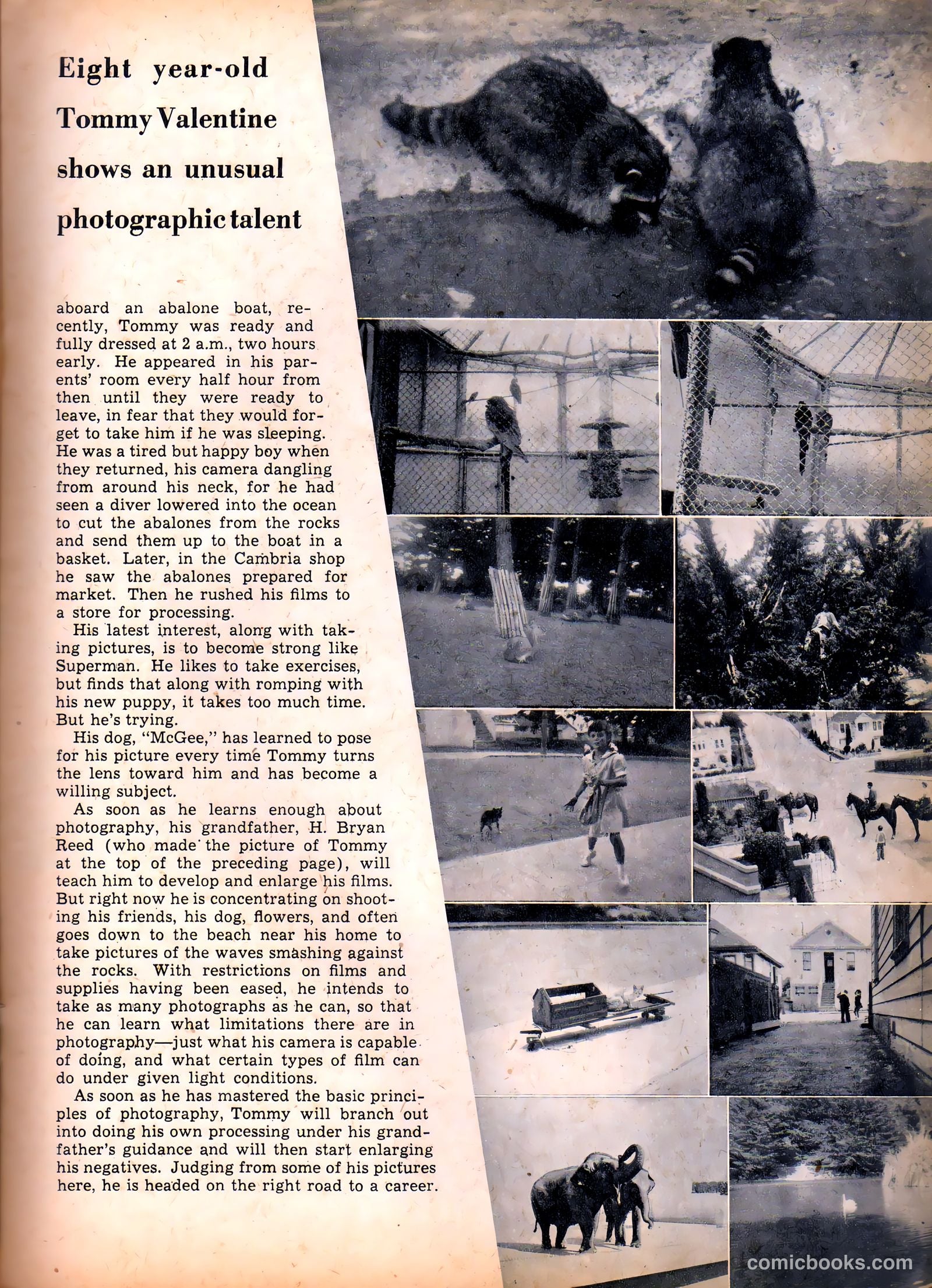 Camera Comics #6 (1945) — page 25 of 52