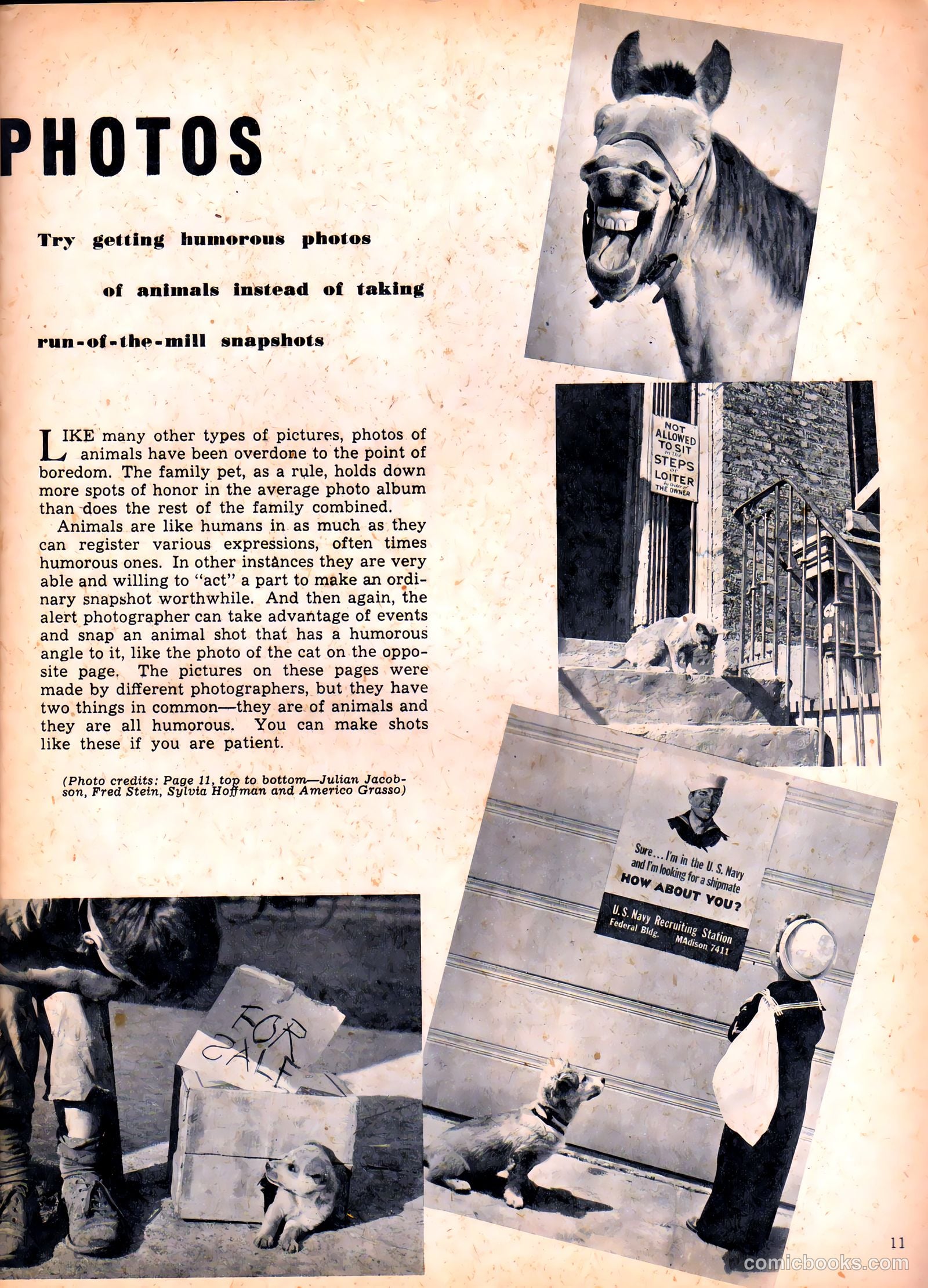 Camera Comics #6 (1945) — page 29 of 52