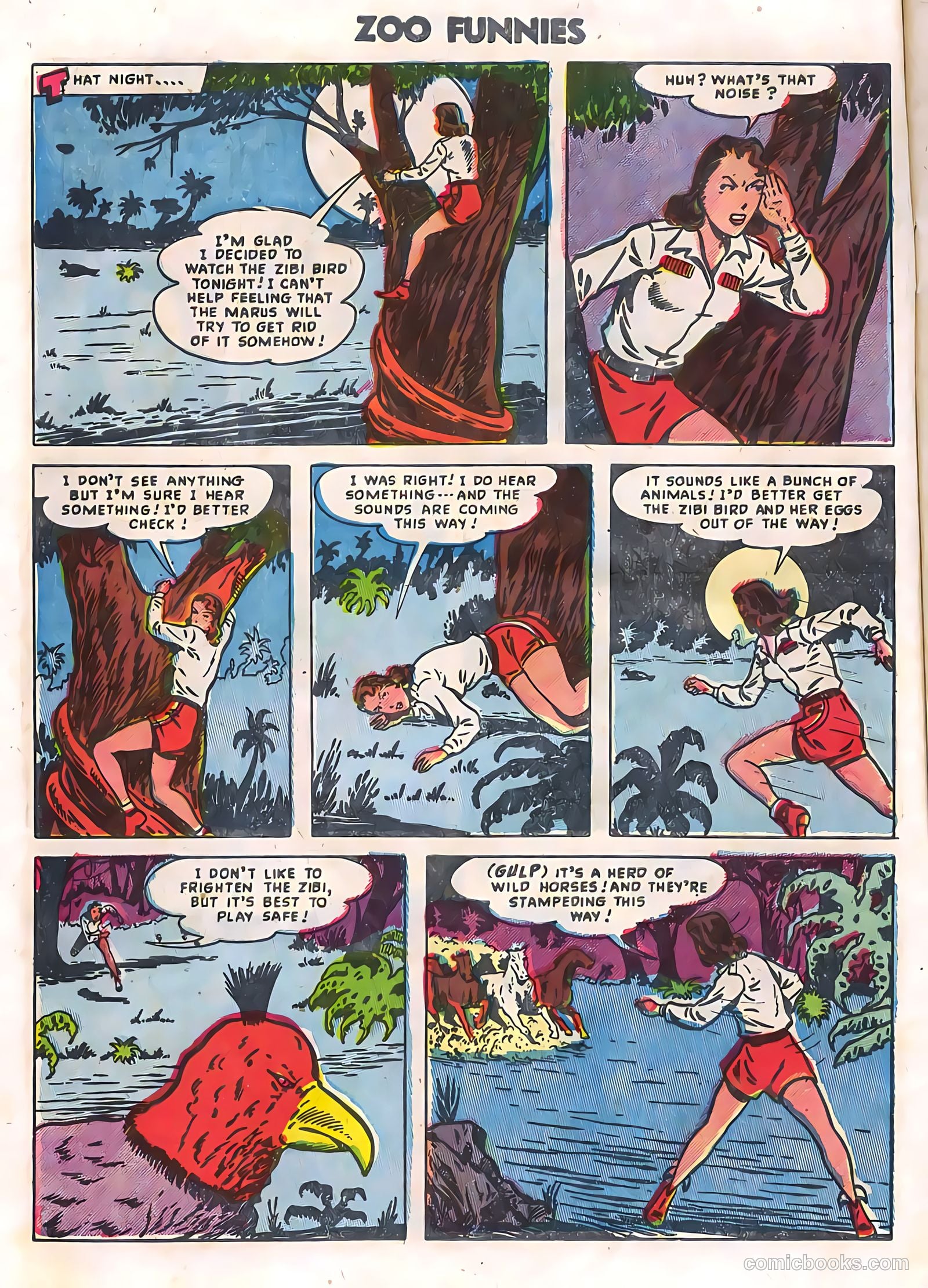 Zoo Funnies v2 #12 (1956) — page 8 of 36