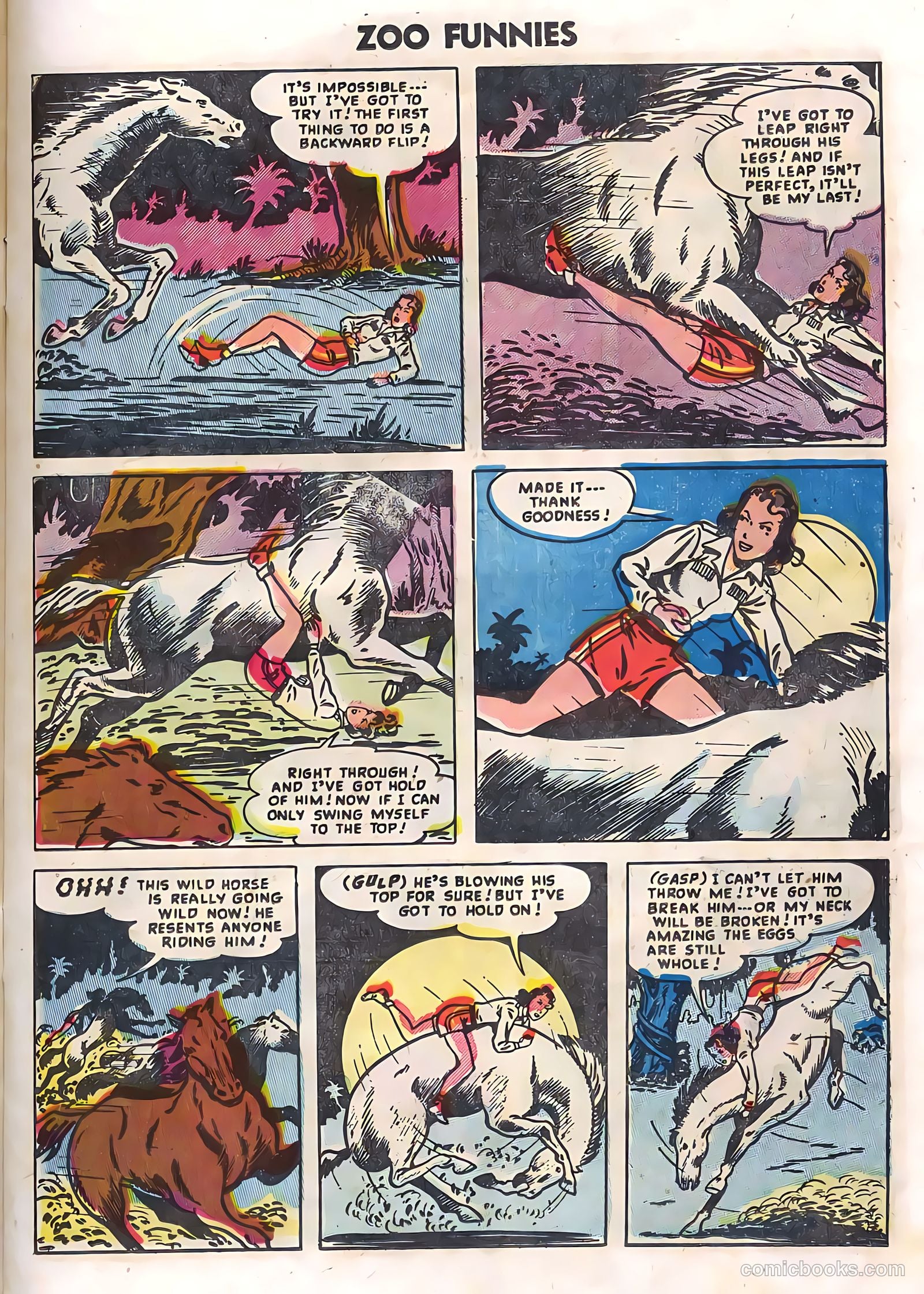 Zoo Funnies v2 #12 (1956) — page 11 of 36