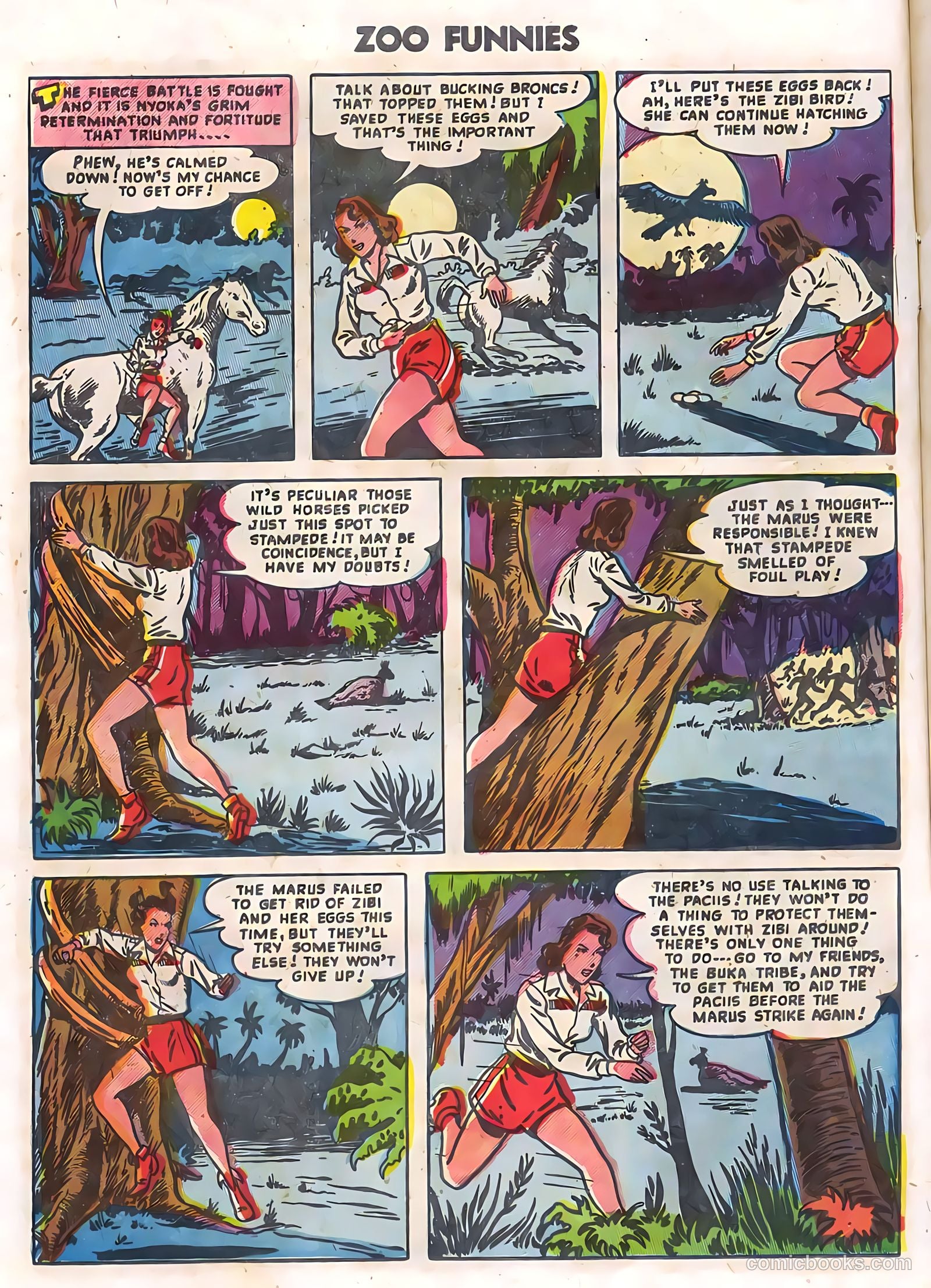 Zoo Funnies v2 #12 (1956) — page 12 of 36