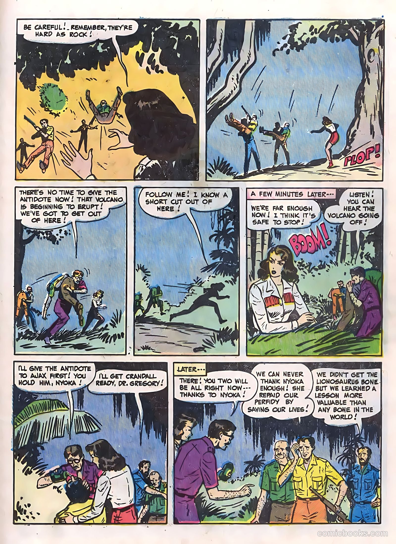 Zoo Funnies v2 #13 (1955) — page 29 of 36