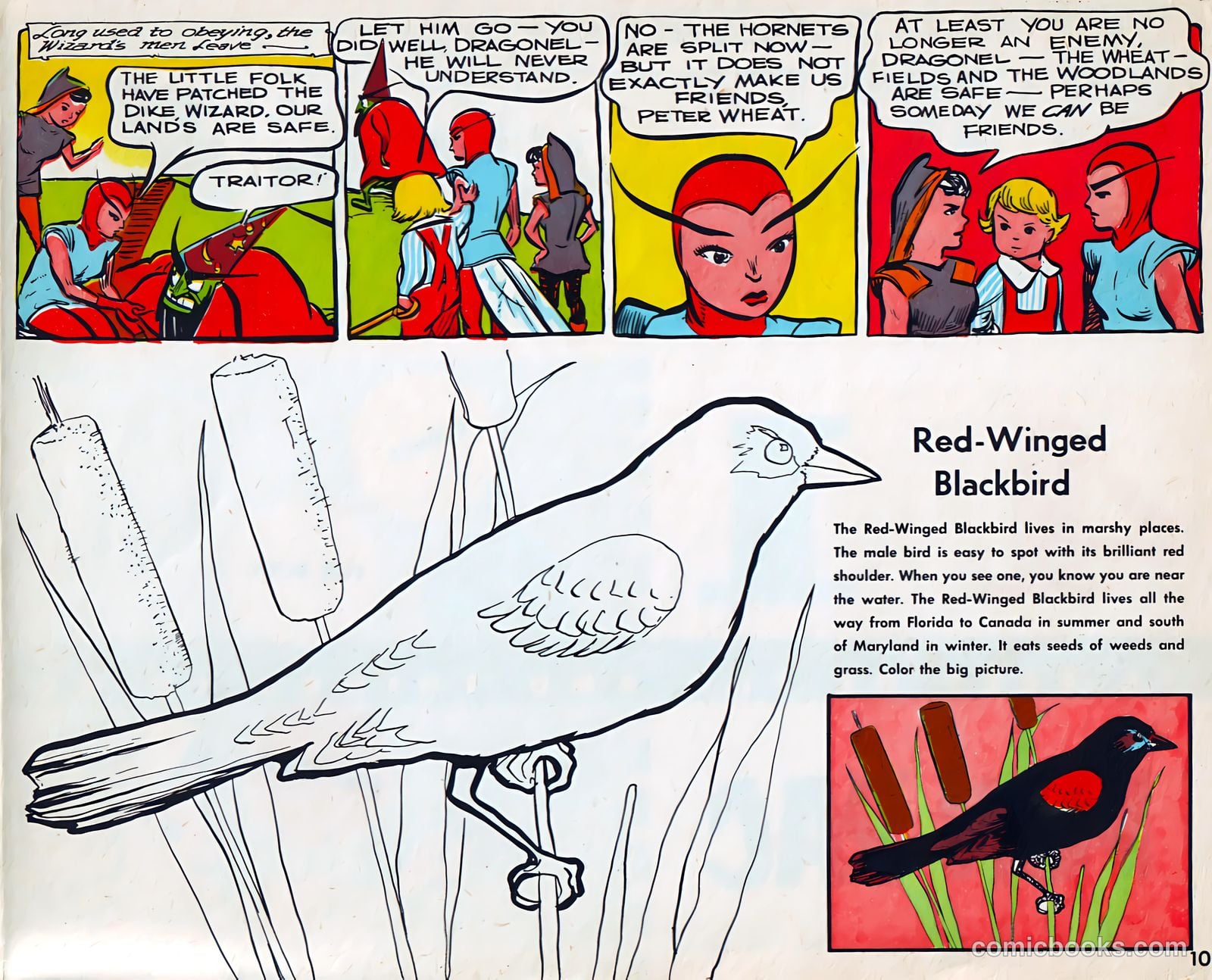 4 in 1 Fun Pac #4 (1954) — page 10 of 10