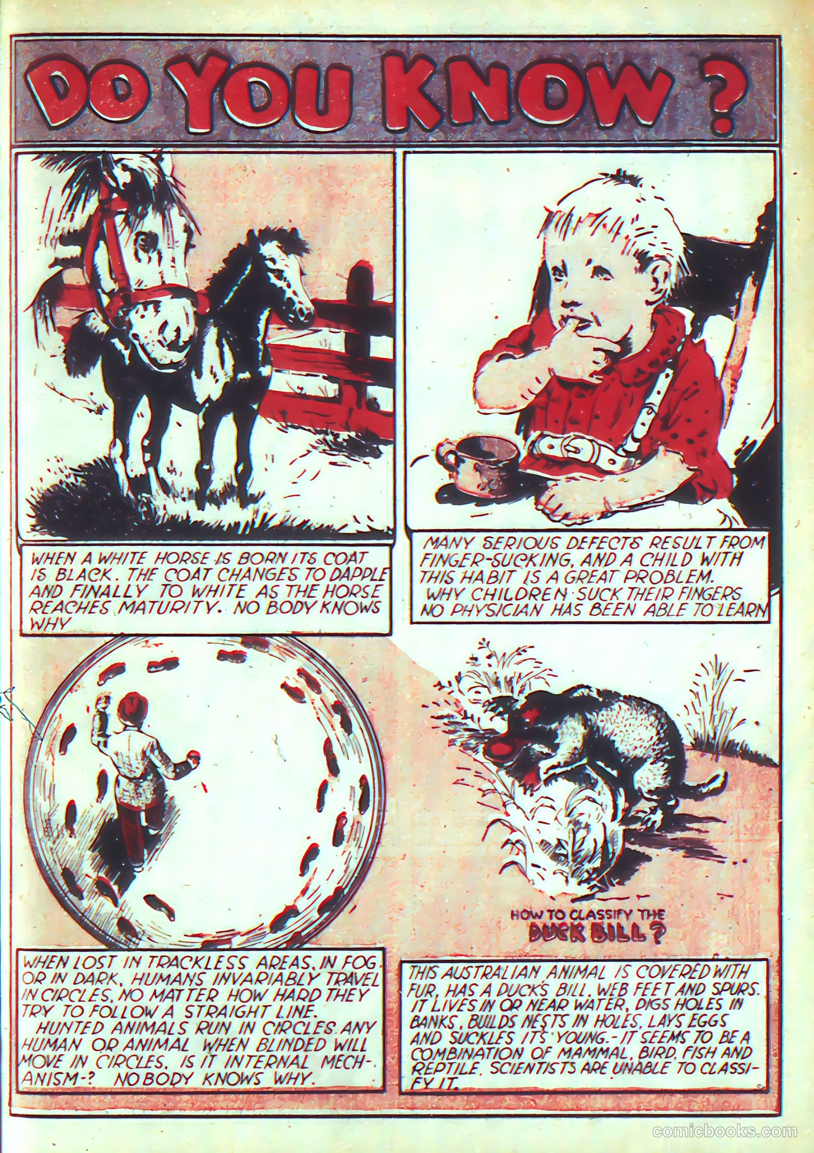 More Fun Comics #21 (1937) — page 40 of 68