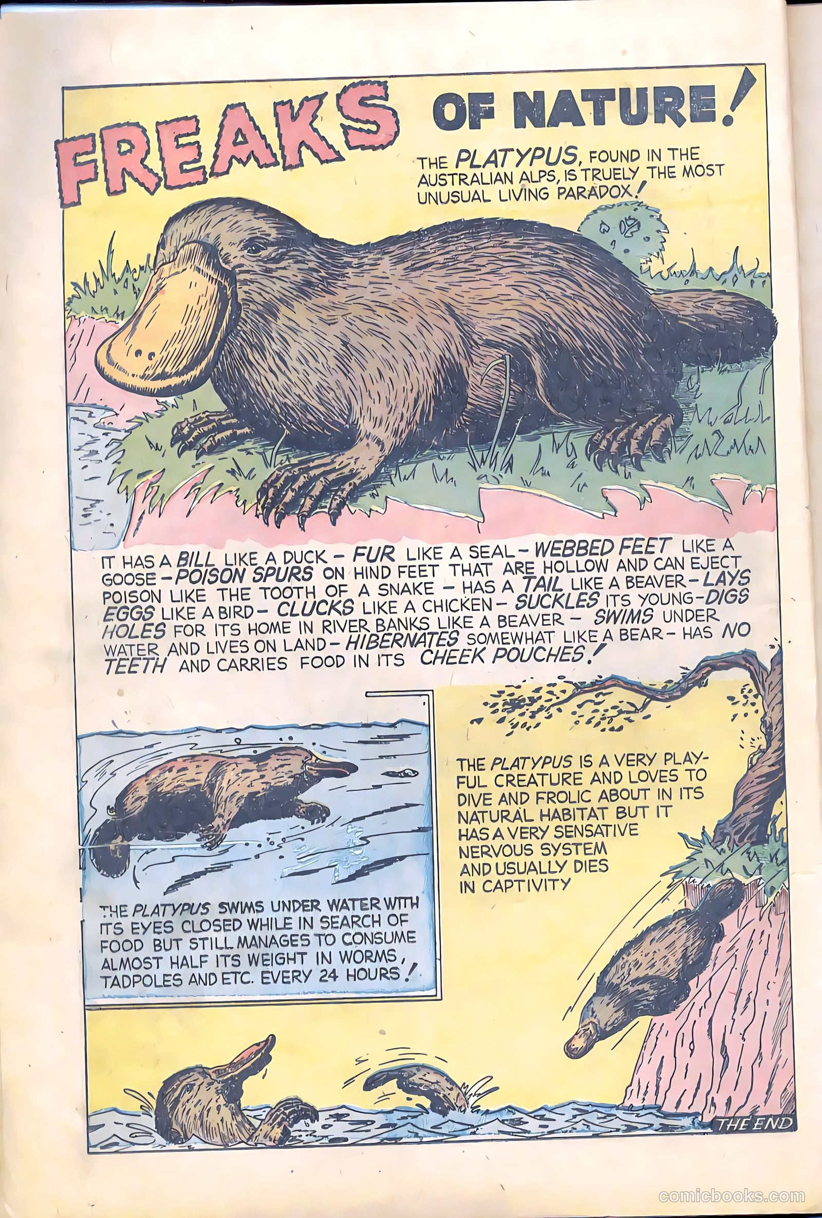 Terrors of the Jungle #1 (1952) — page 12 of 32