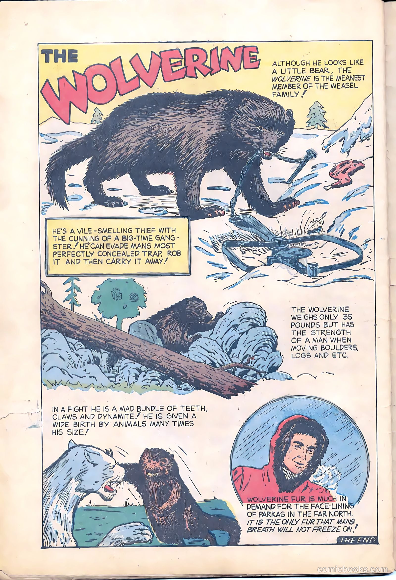 Terrors of the Jungle #1 (1952) — page 32 of 32