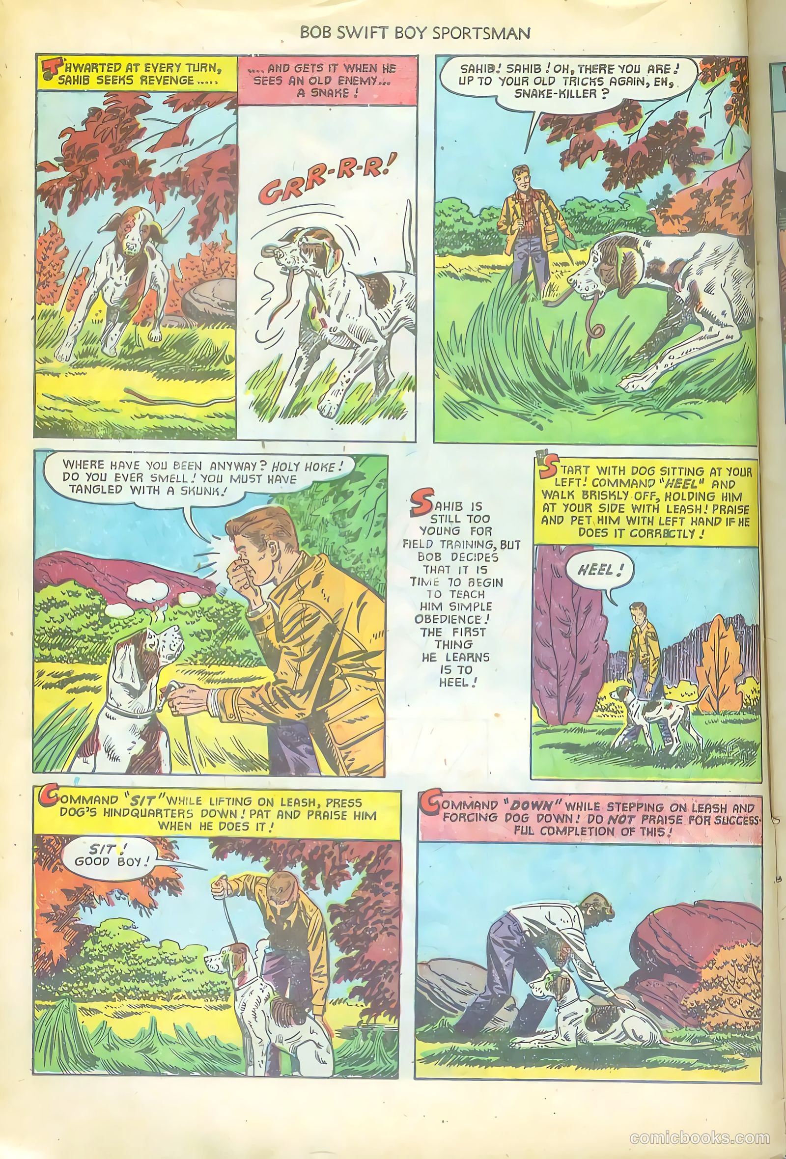 Bob Swift, Boy Sportsman #4 (1951) — page 10 of 36