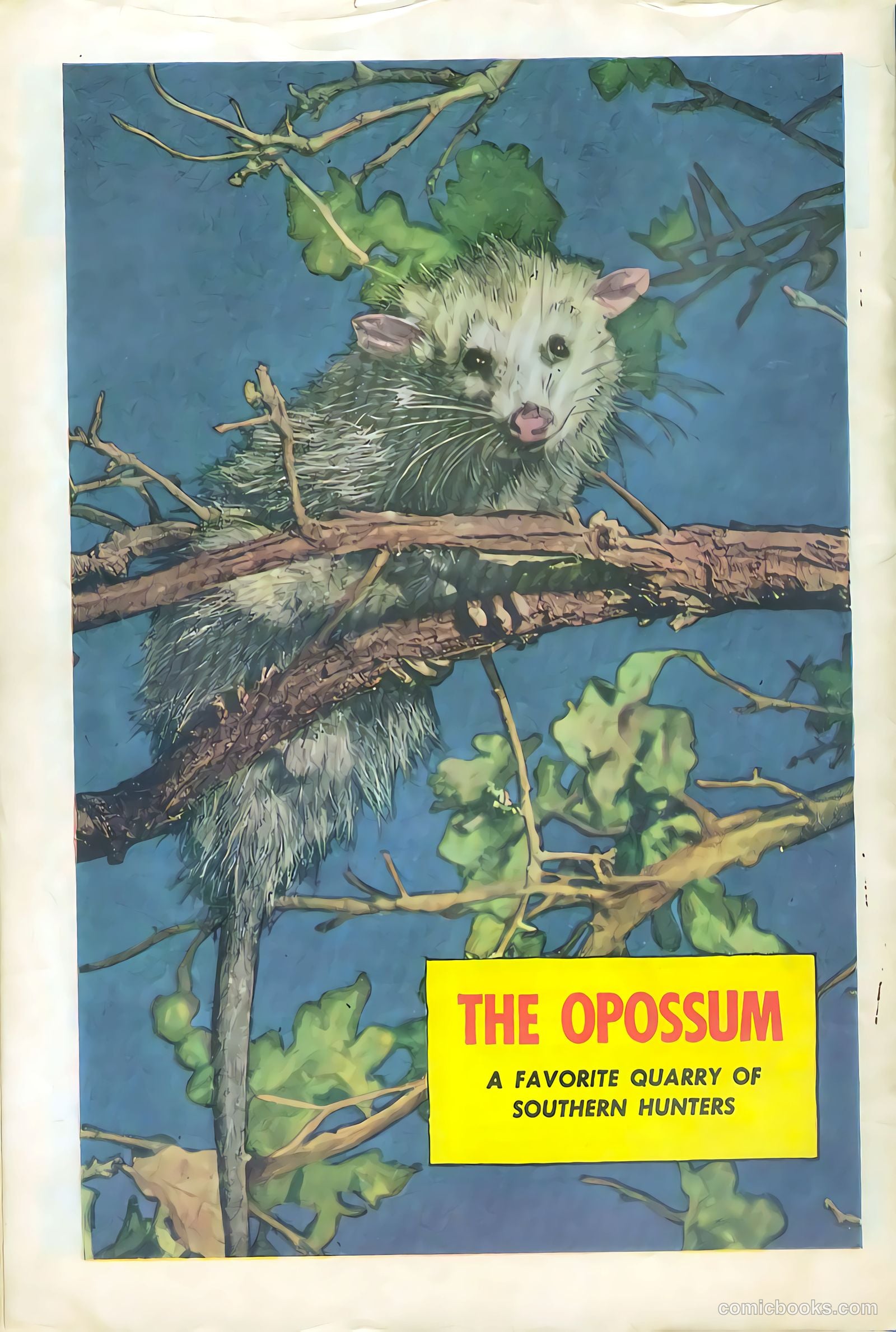 Bob Swift, Boy Sportsman #4 (1951) — page 36 of 36