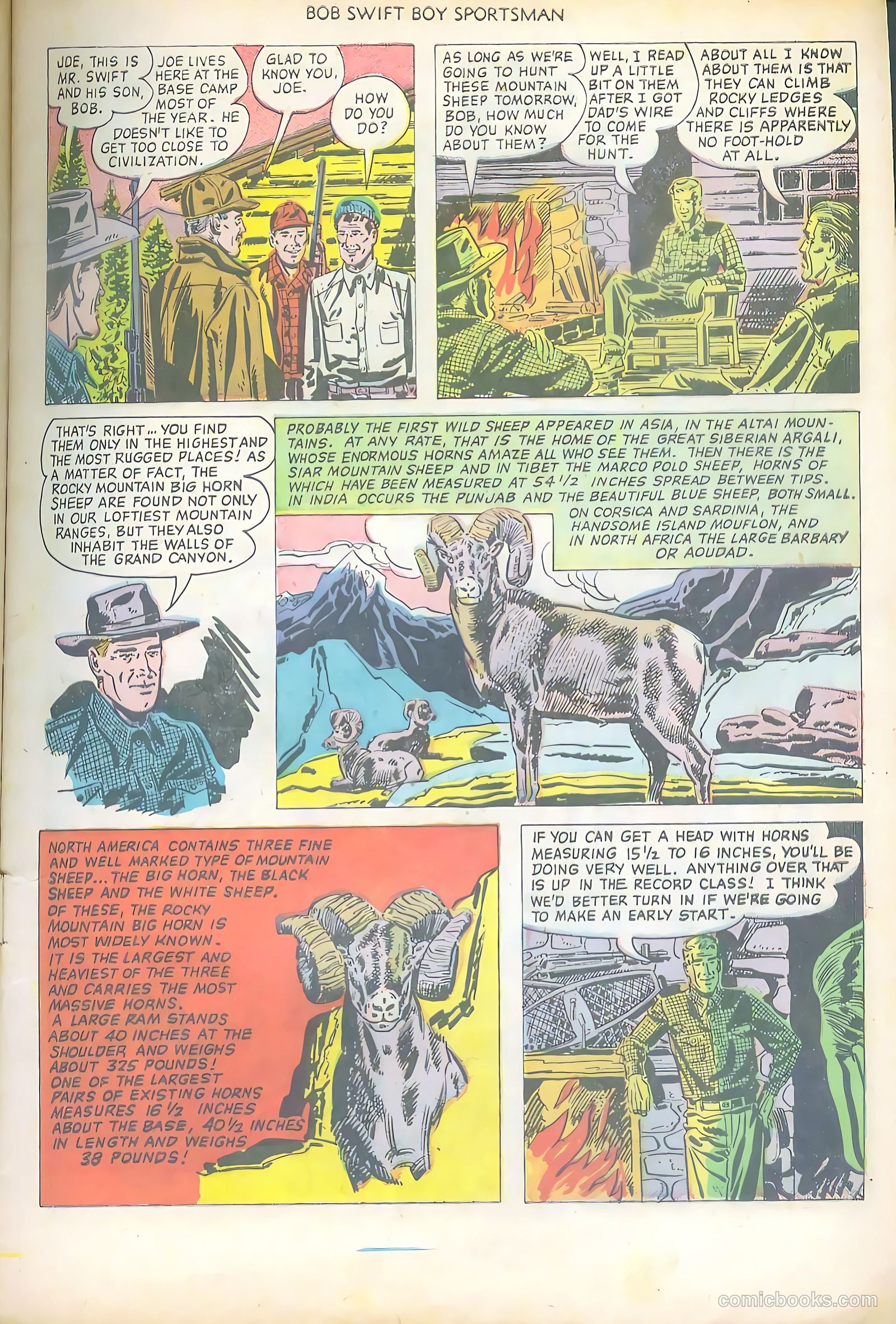 Bob Swift, Boy Sportsman #1 (1951) — page 9 of 36