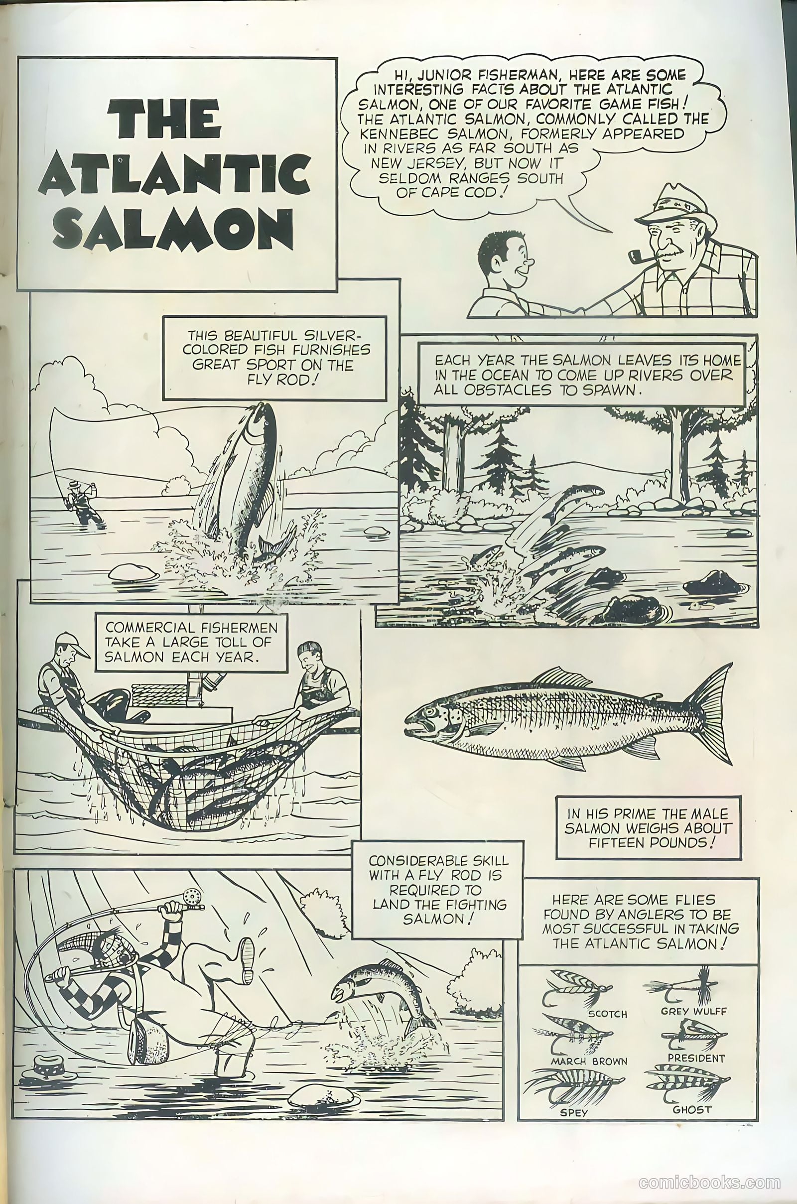Bob Swift, Boy Sportsman #1 (1951) — page 35 of 36