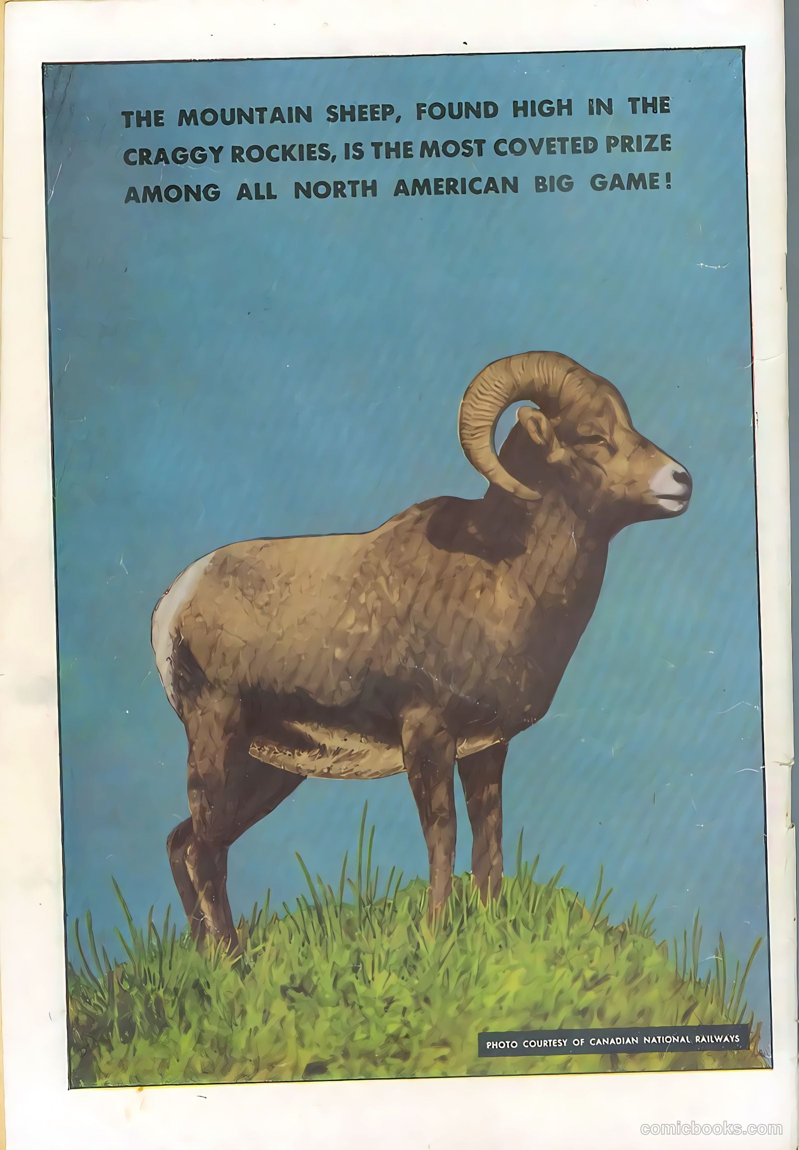 Bob Swift, Boy Sportsman #1 (1951) — page 36 of 36