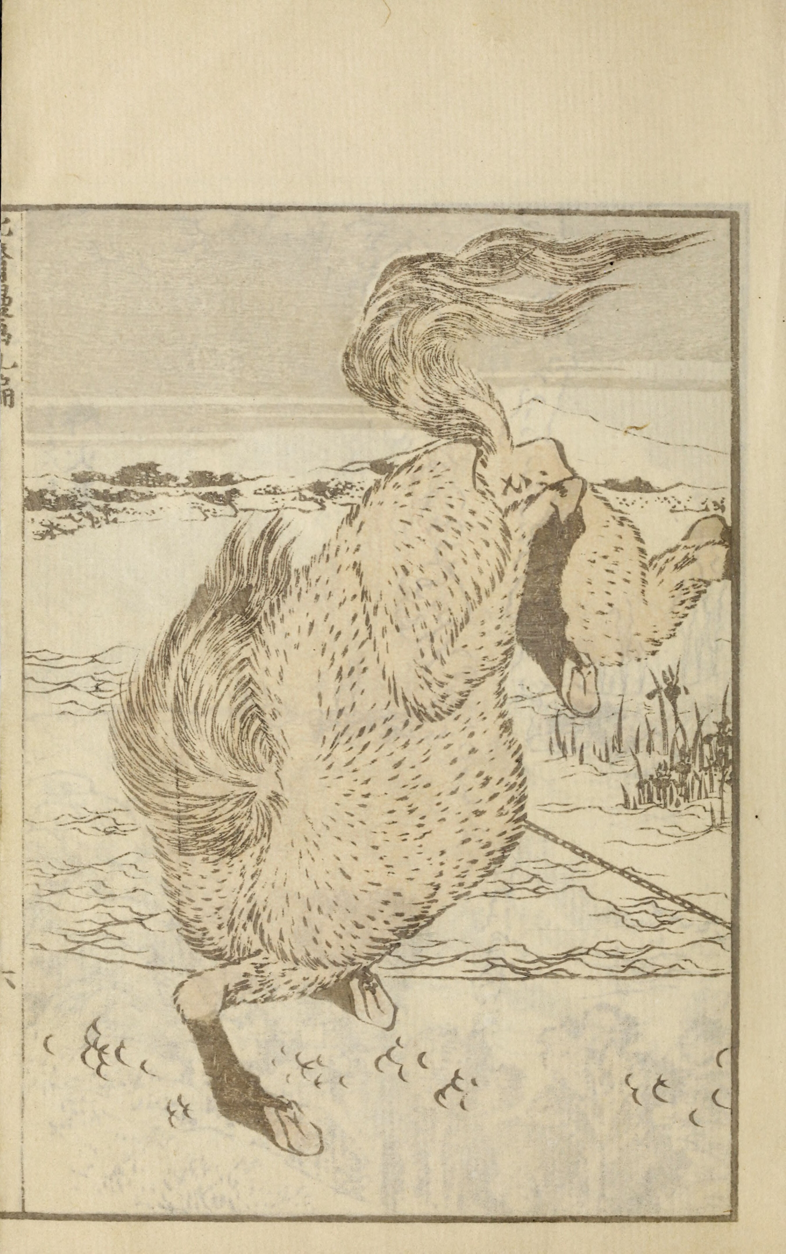 Hokusai Manga #Vol. 9 (1878) — page 15 of 40