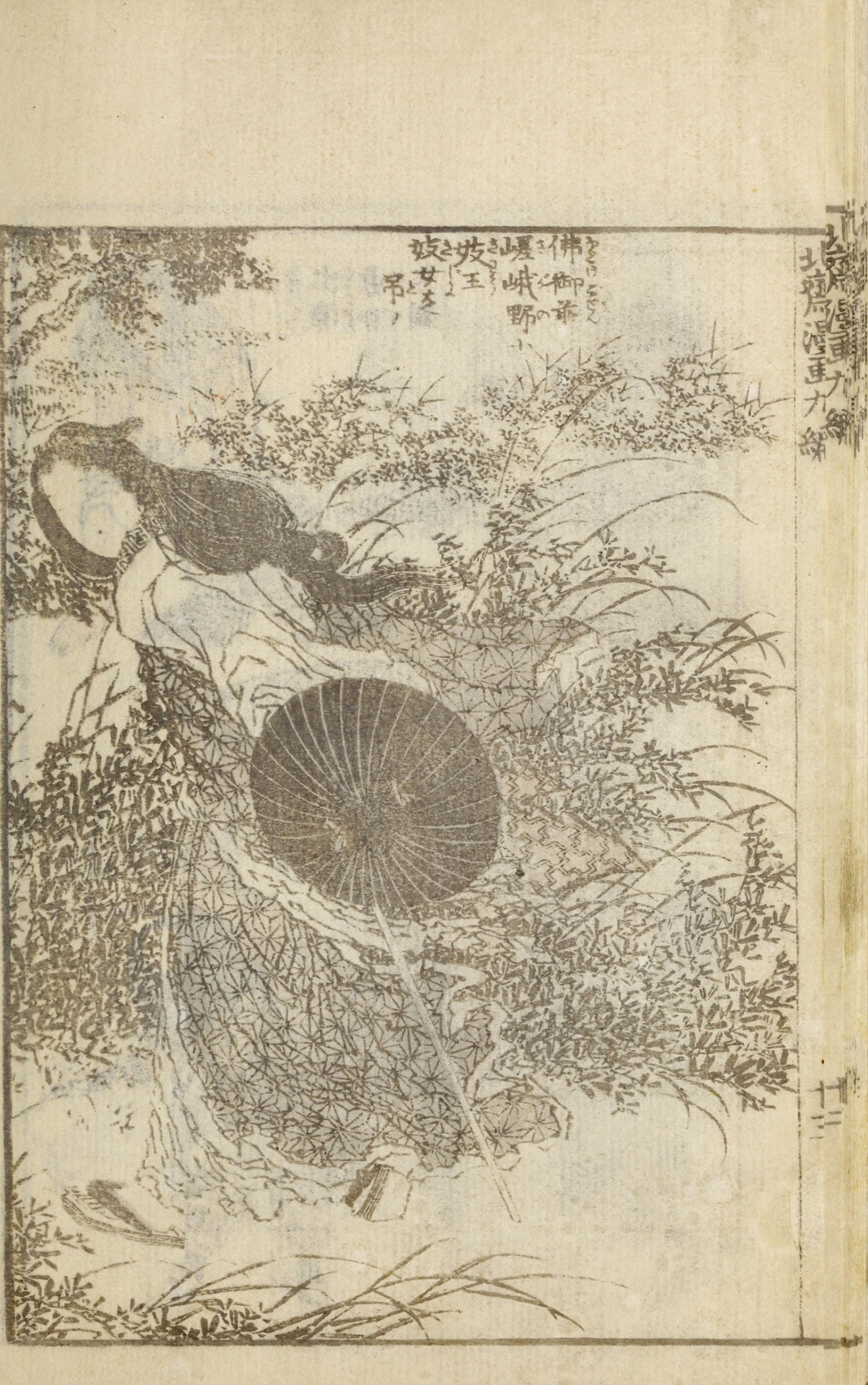 Hokusai Manga #Vol. 9 (1878) — page 30 of 40