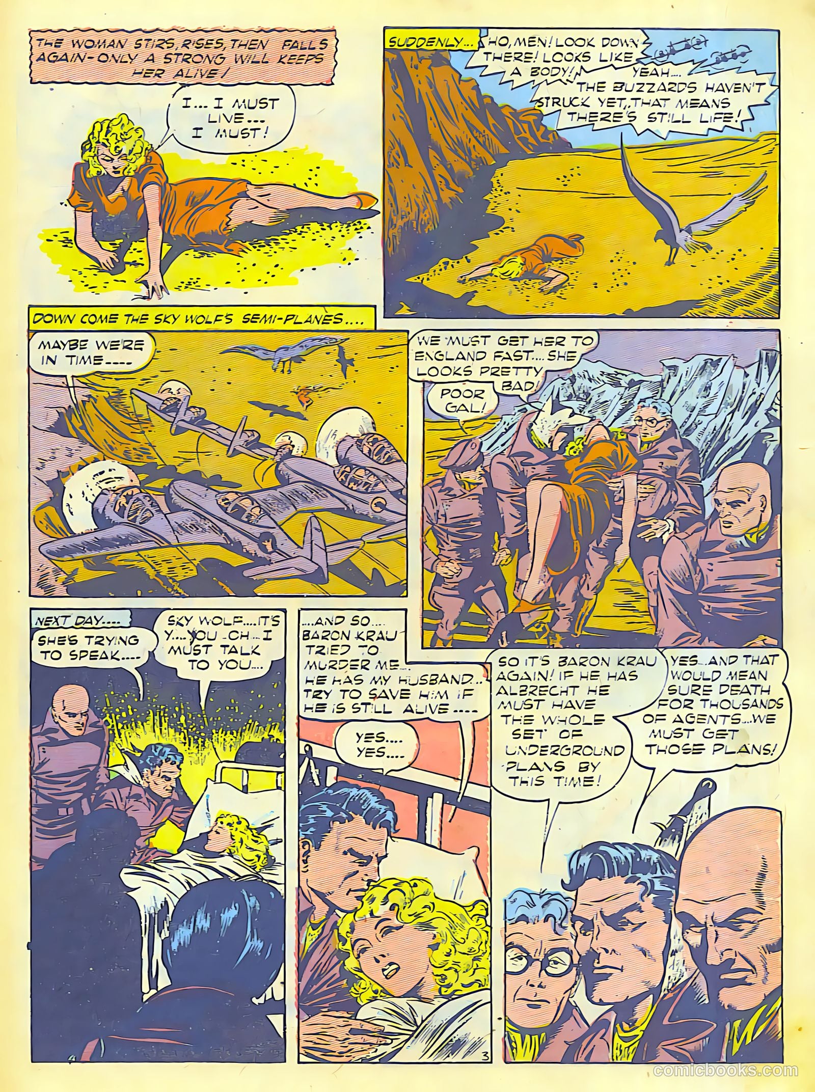 Air Fighters Comics #12 (1943) — page 19 of 68