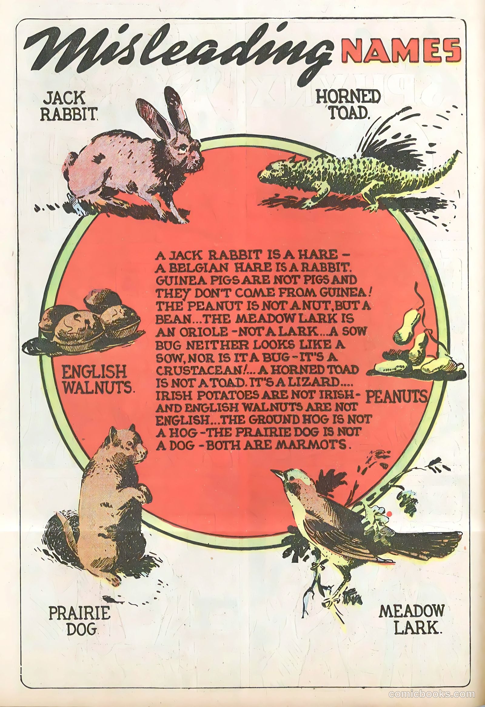 Star Comics v1 #9 (1938) — page 26 of 62