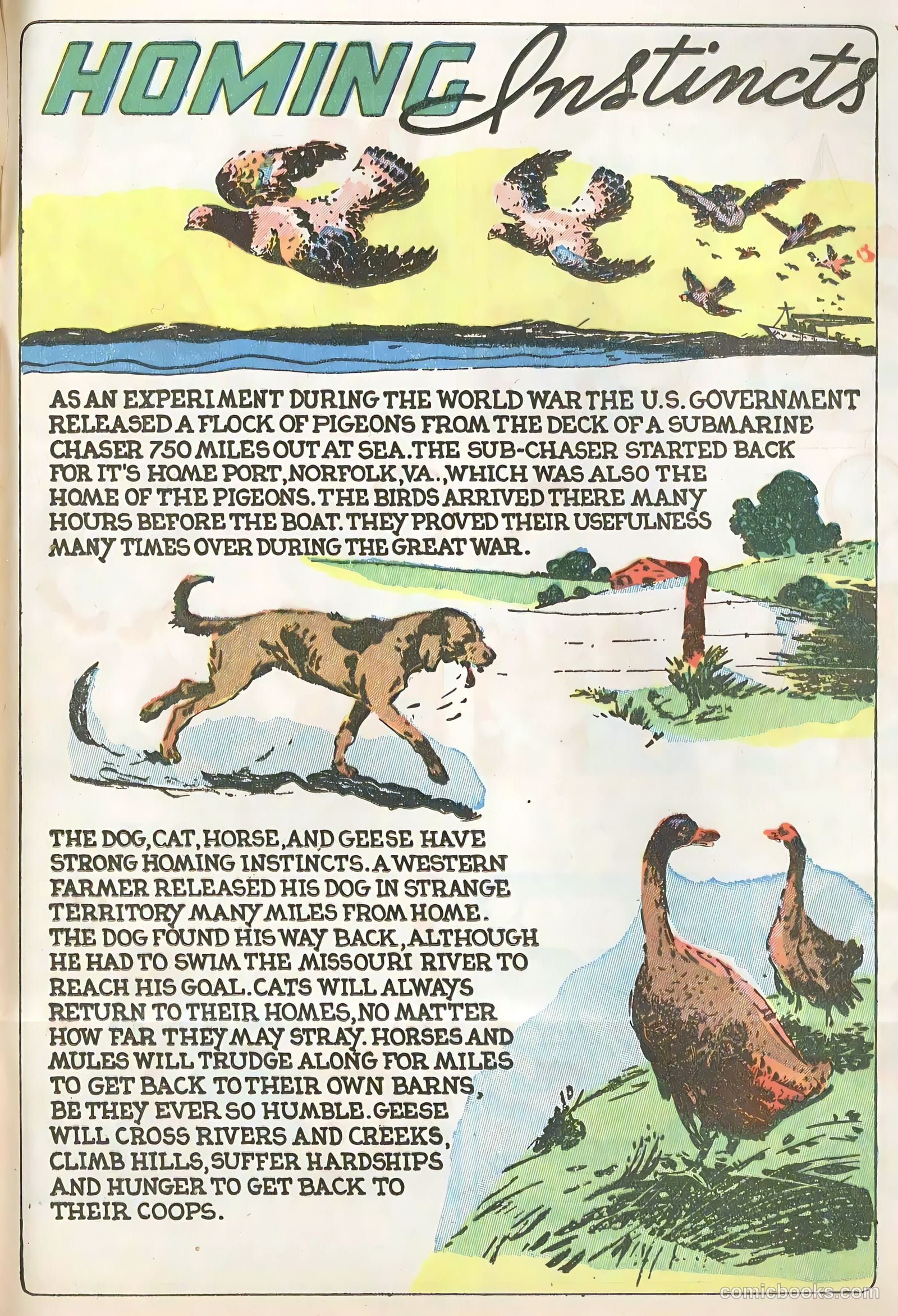 Star Comics v1 #9 (1938) — page 57 of 62