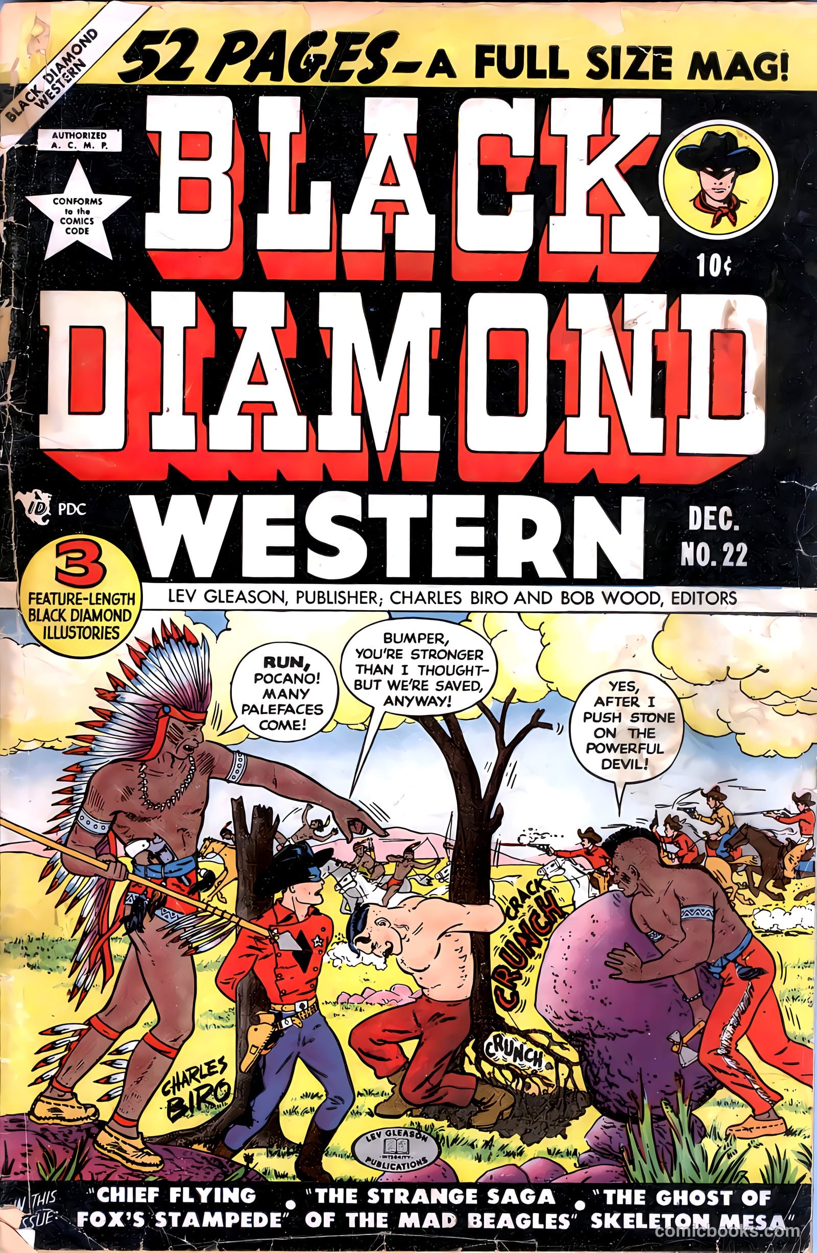 Black Diamond Western #22
