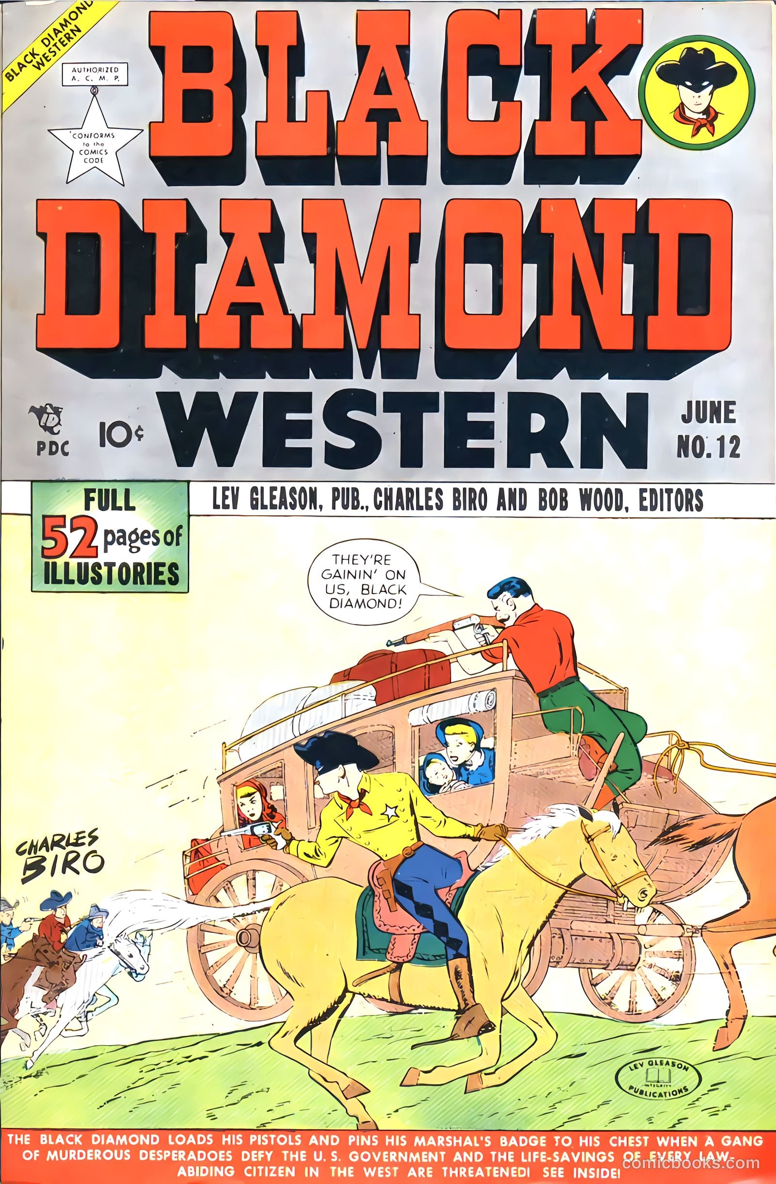 Black Diamond Western #12