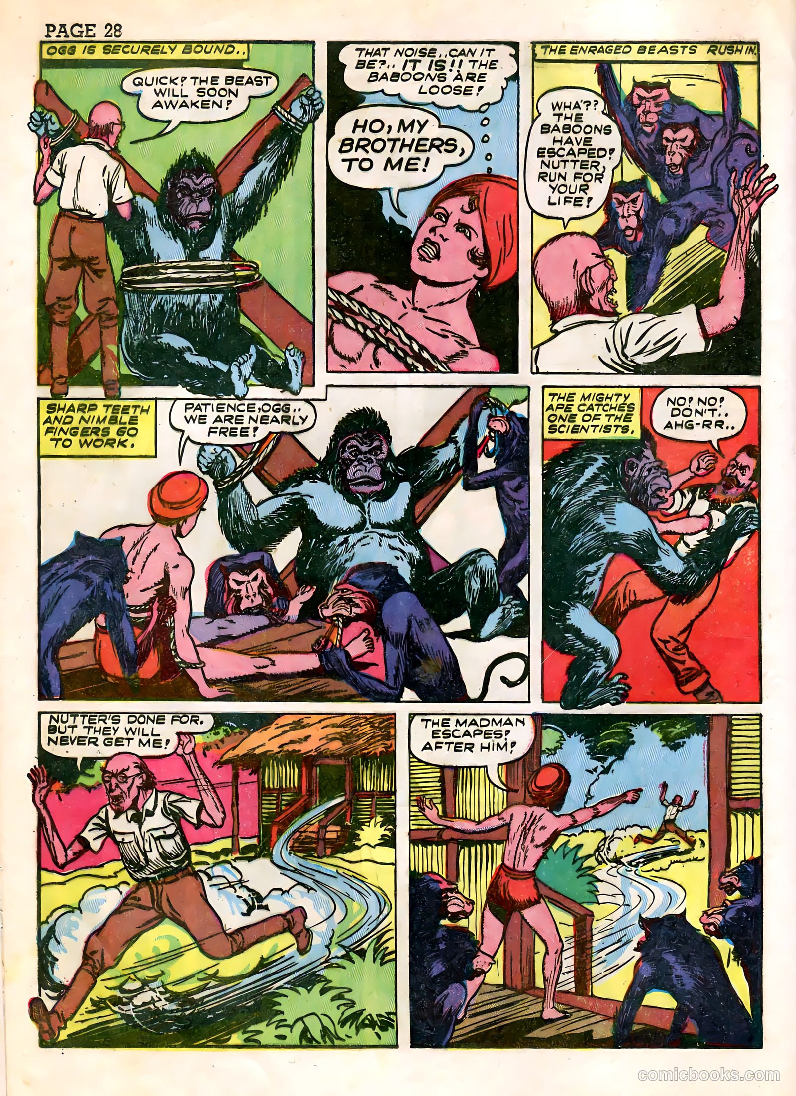 Wambi #3 (1958) — page 30 of 68
