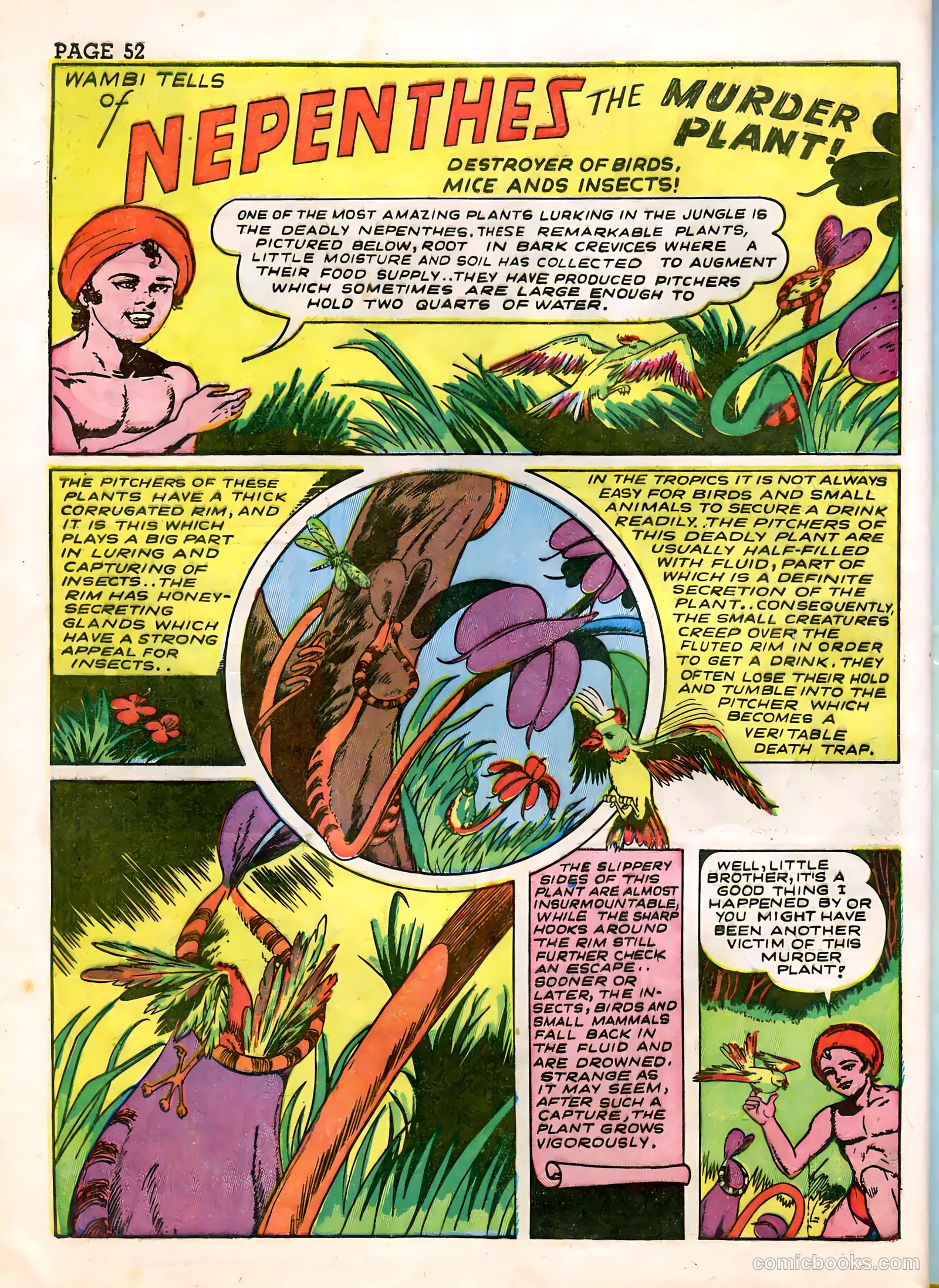 Wambi #3 (1958) — page 54 of 68