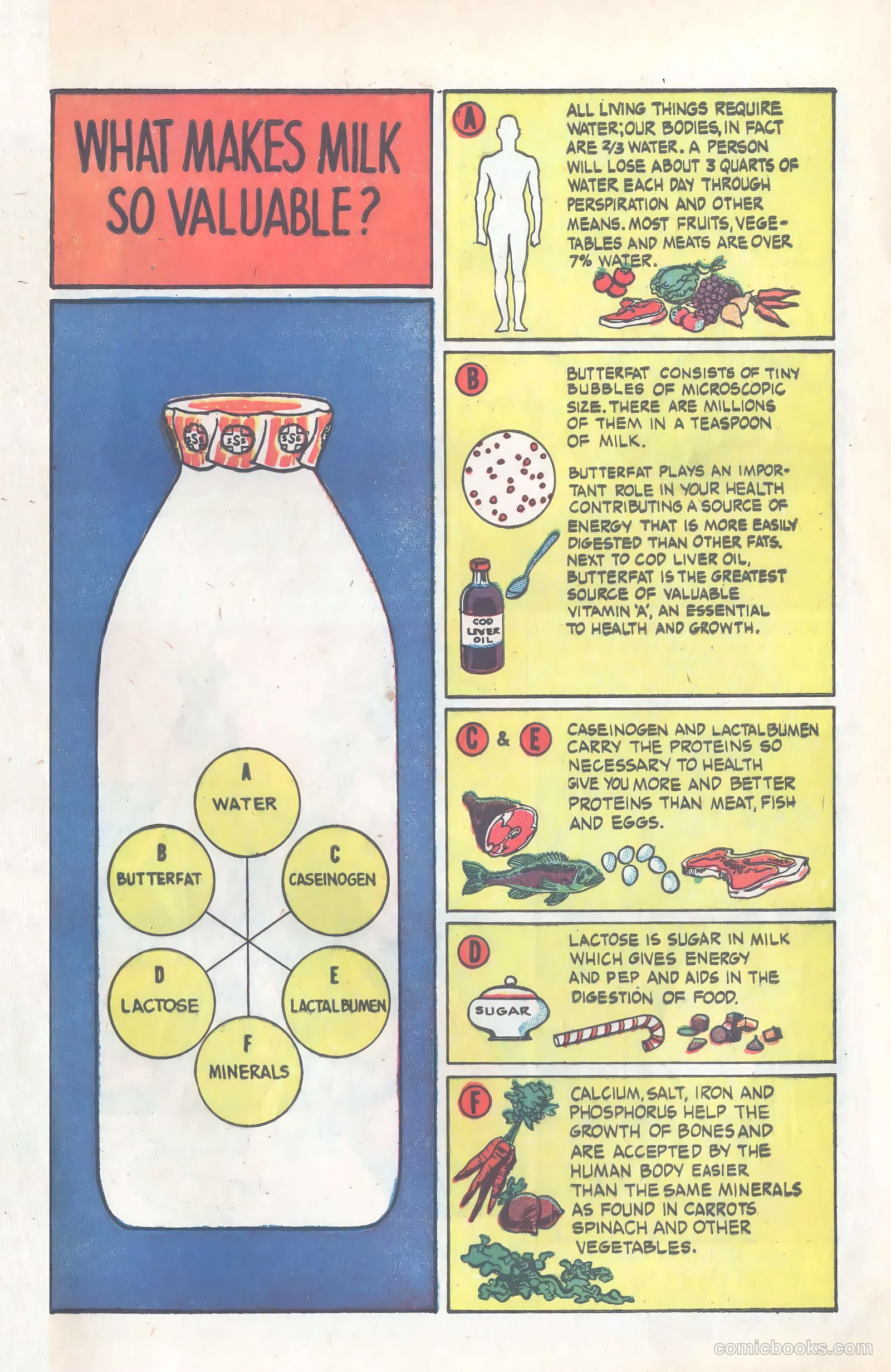 Amazing But True: Facts About Milk and Milk Protection #nn (1956) — page 3 of 16