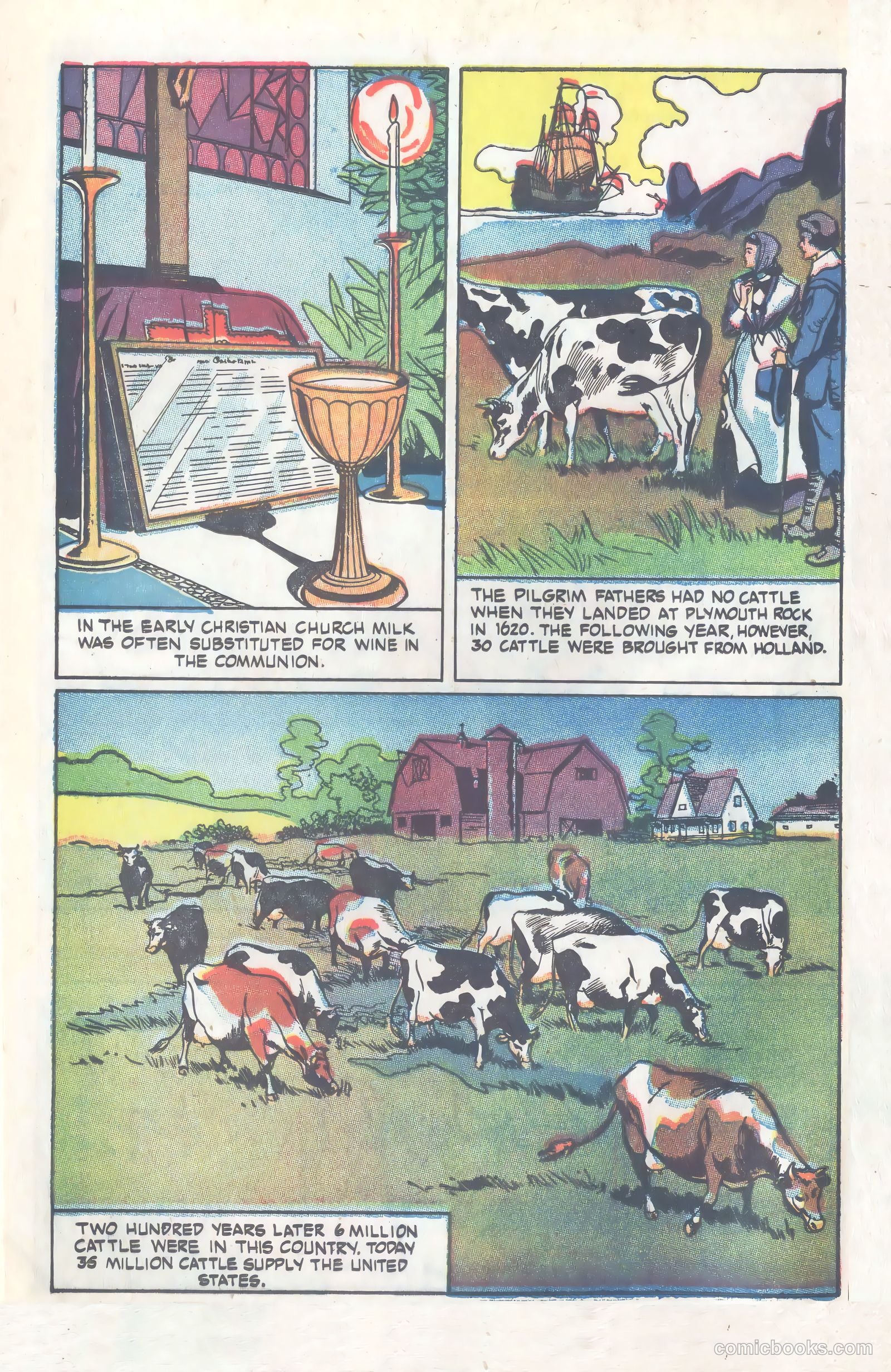 Amazing But True: Facts About Milk and Milk Protection #nn (1956) — page 6 of 16