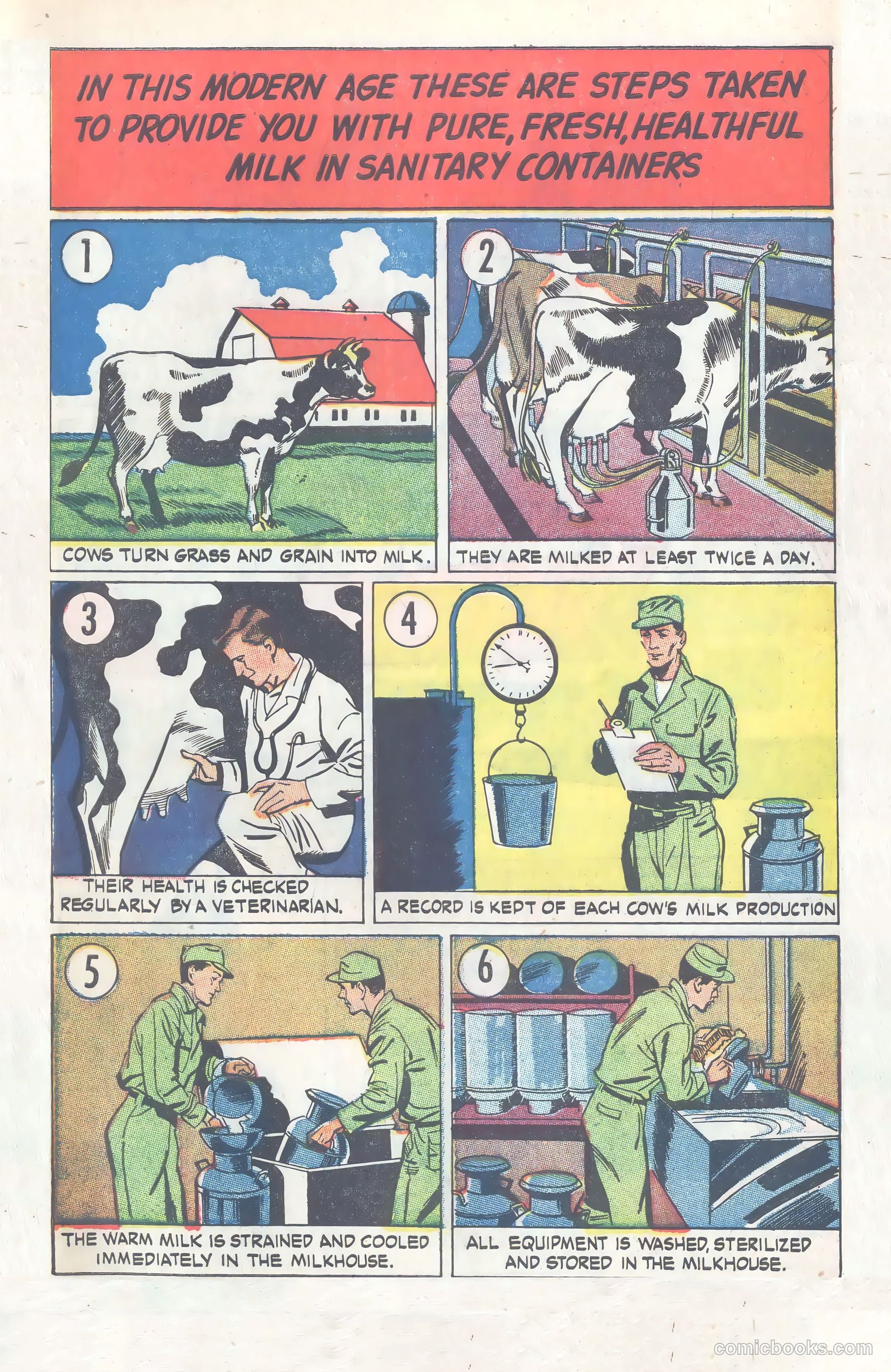 Amazing But True: Facts About Milk and Milk Protection #nn (1956) — page 13 of 16