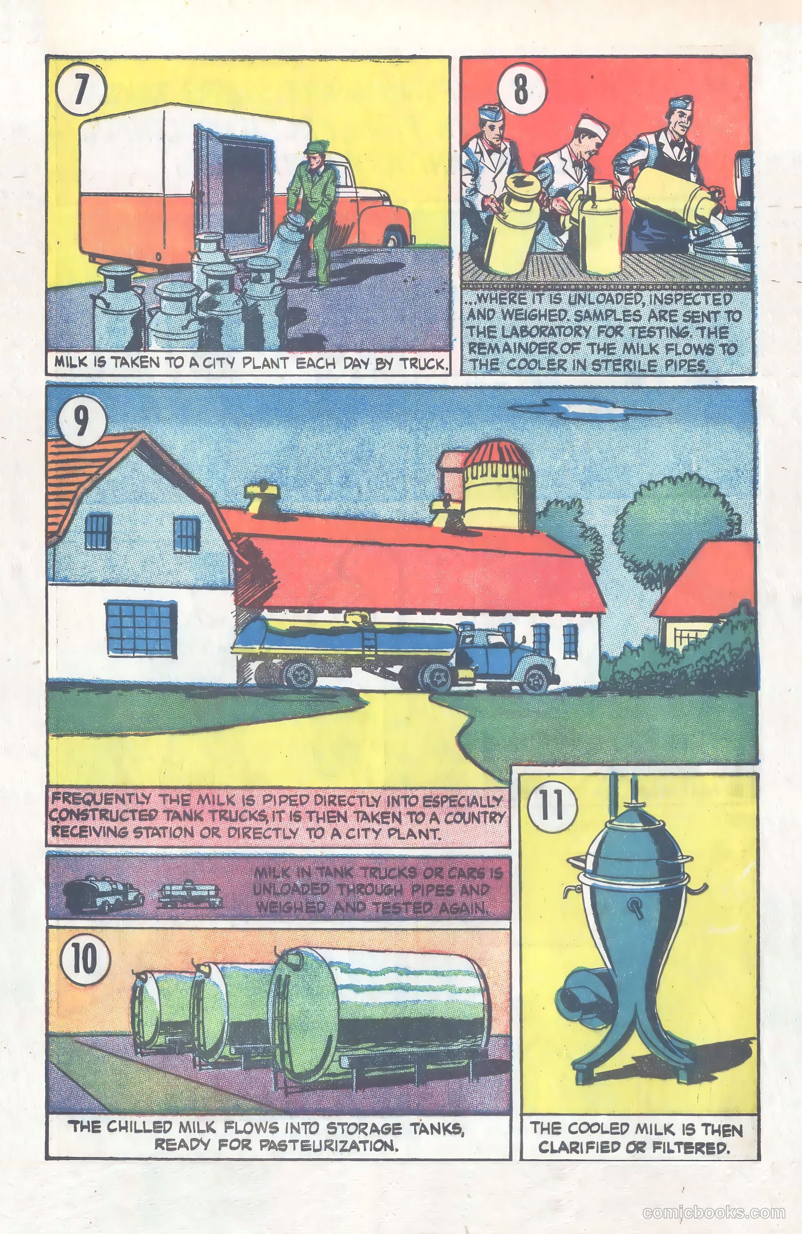 Amazing But True: Facts About Milk and Milk Protection #nn (1956) — page 14 of 16