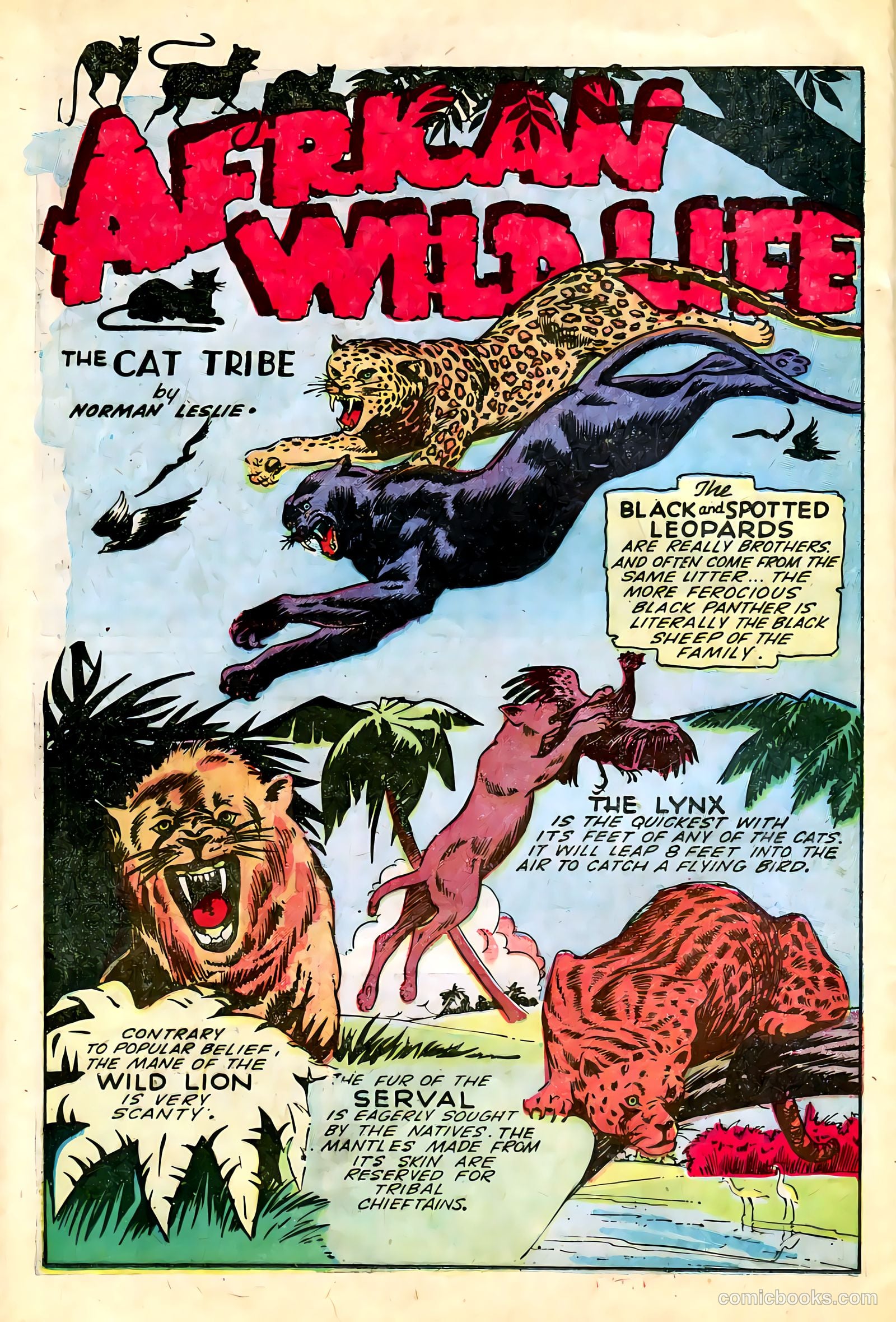 Wambi #13 (1958) — page 24 of 36