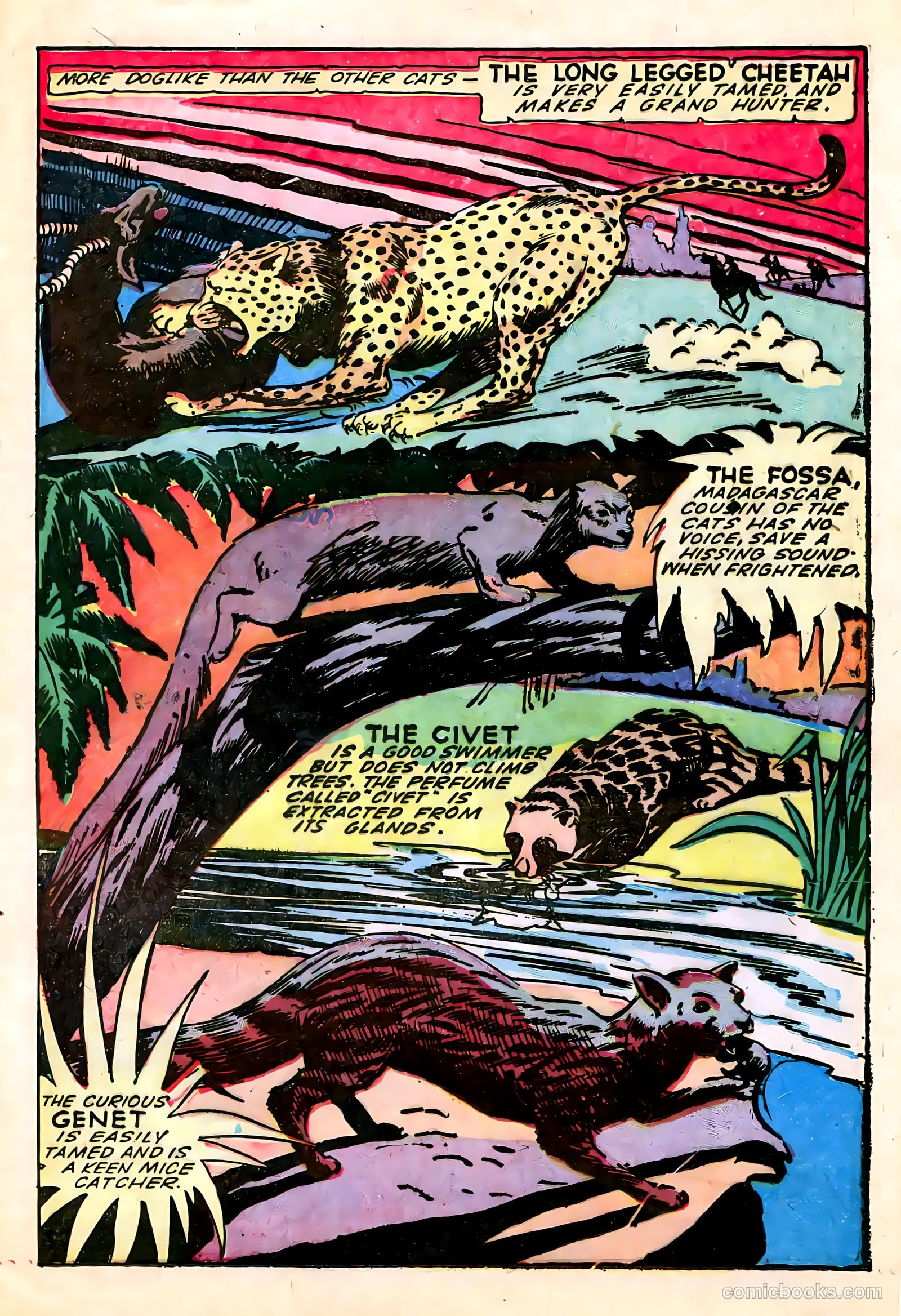 Wambi #13 (1958) — page 25 of 36