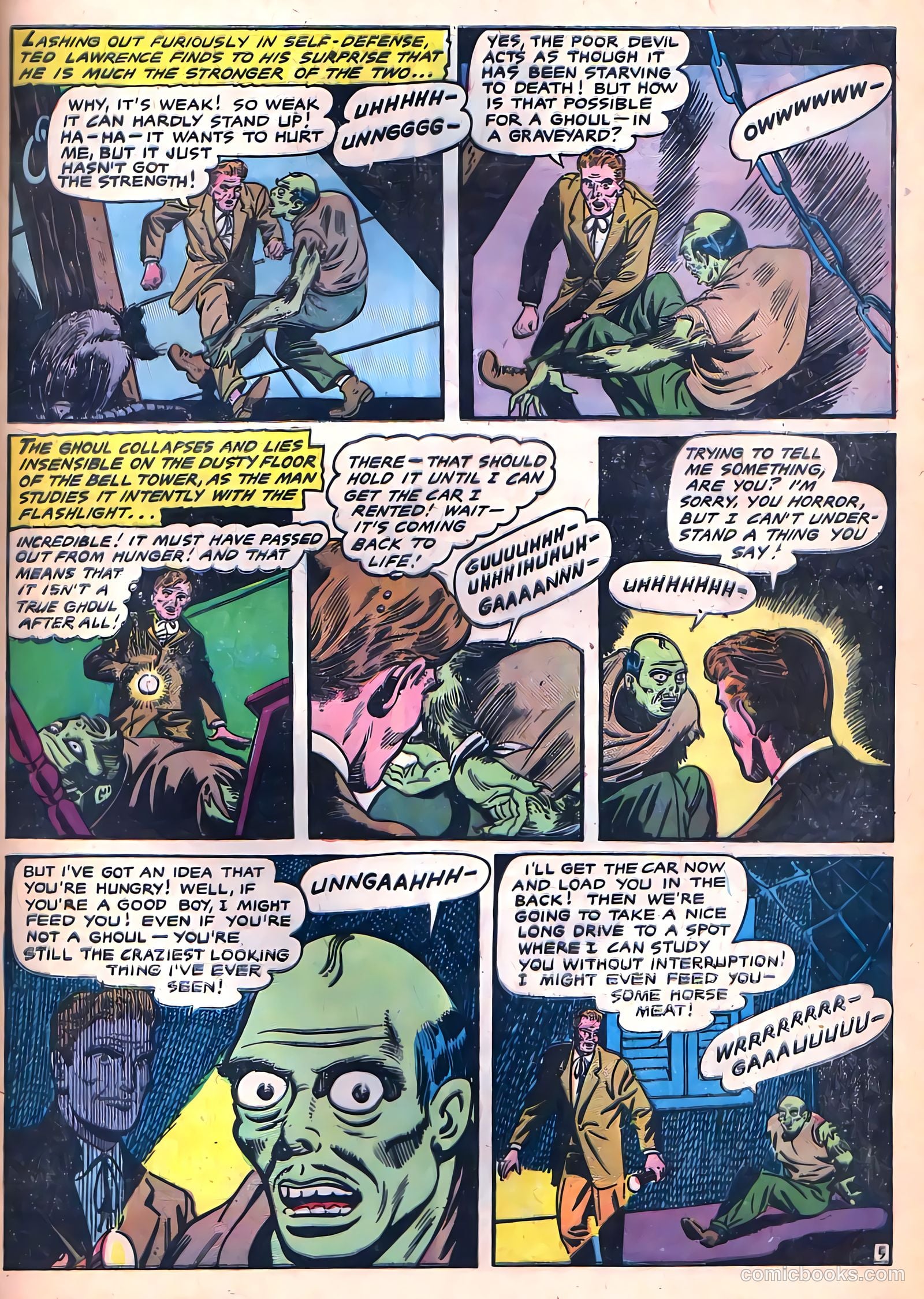 Fantastic Comics #11 (2008) — page 31 of 36