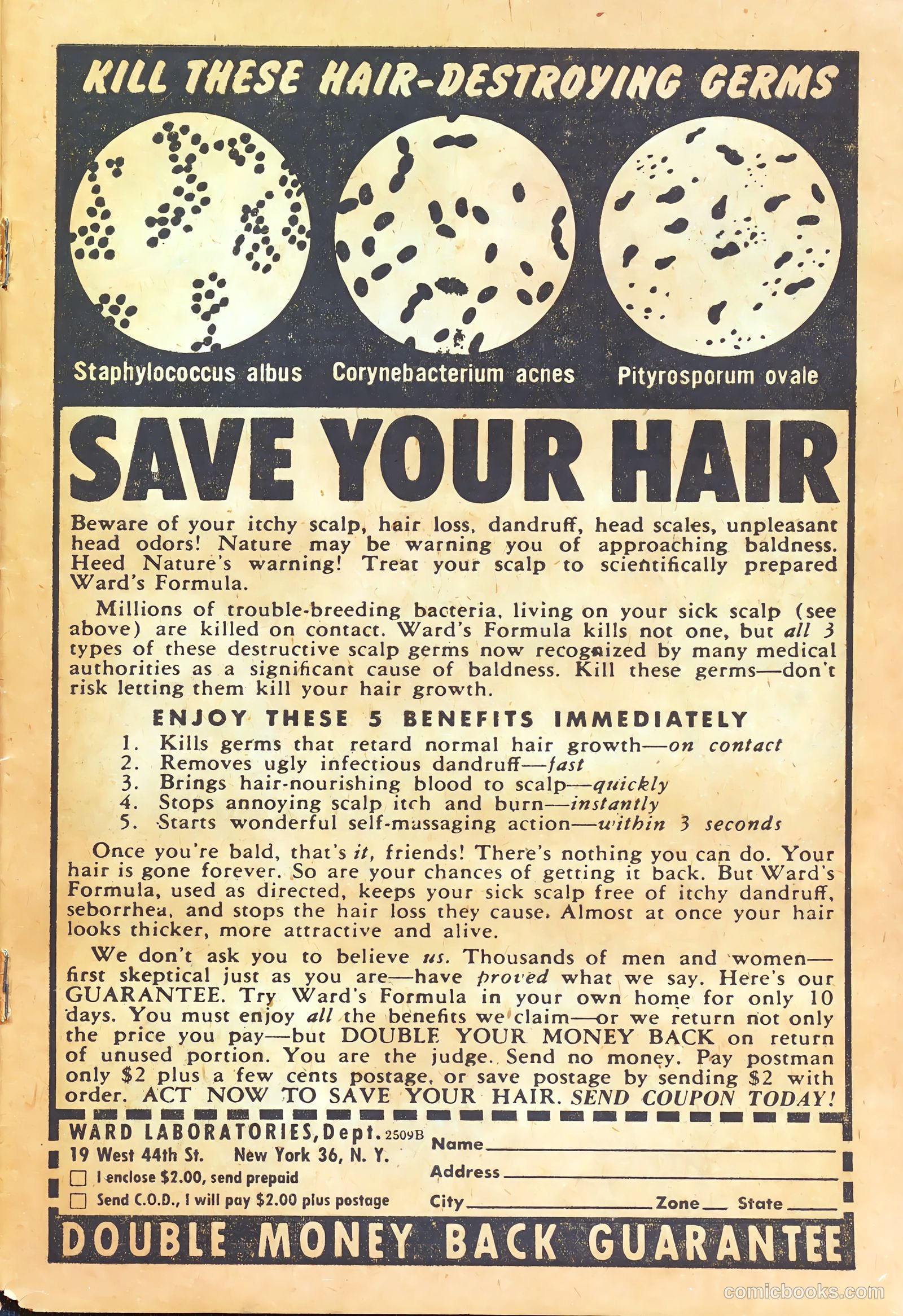 Justice Traps the Guilty #78 (1948) — page 29 of 36