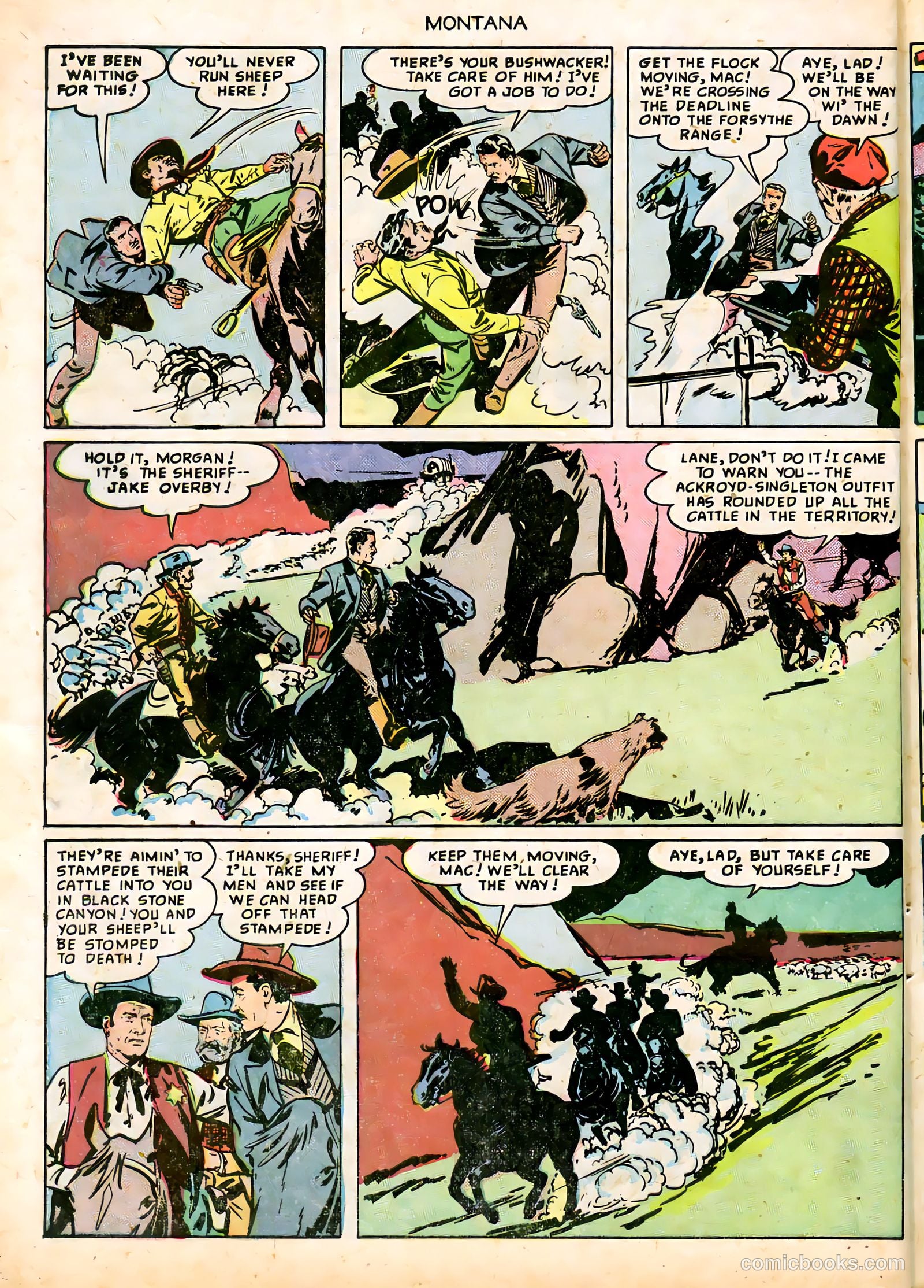 Montana #nn (1950) — page 28 of 36