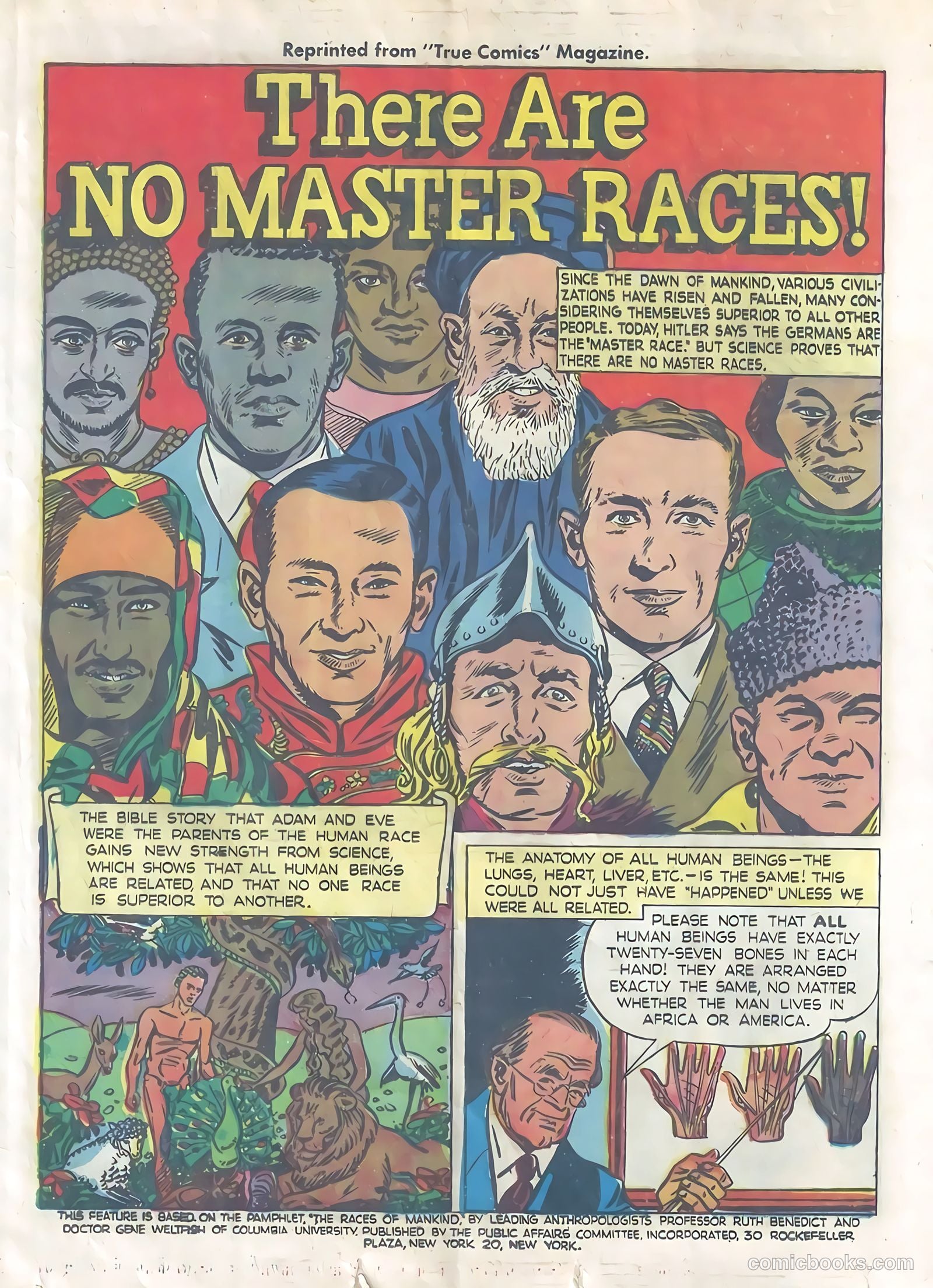There Are No Master Races #nn