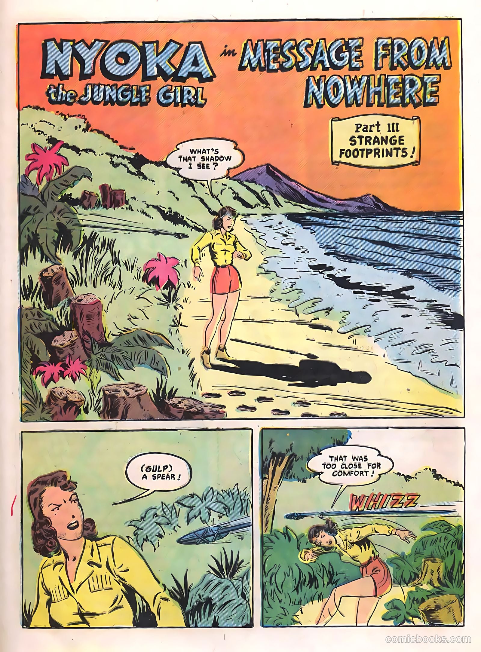 Zoo Funnies v2 #11 — page 25 of 36