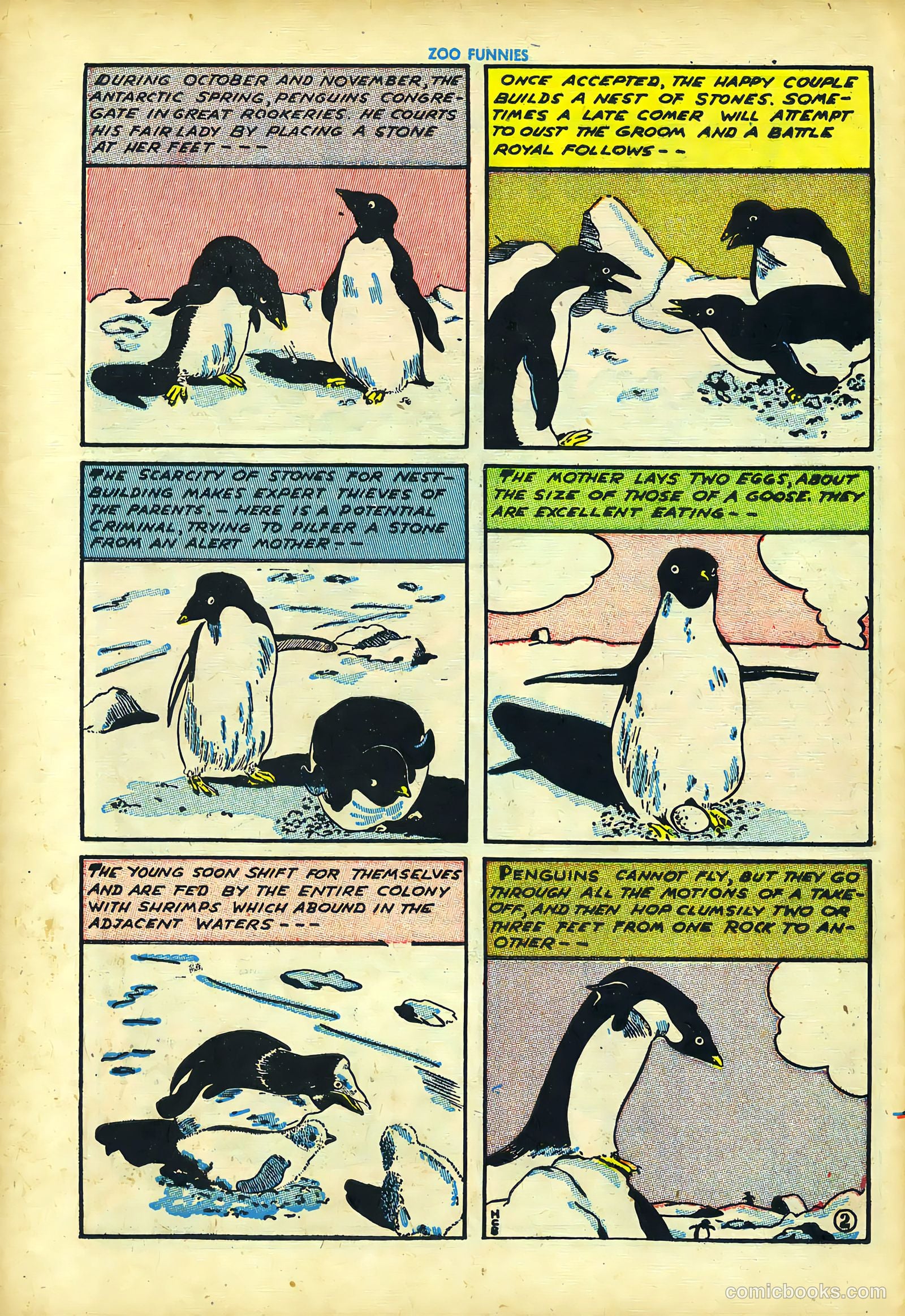 Zoo Funnies v1 #3 — page 40 of 52