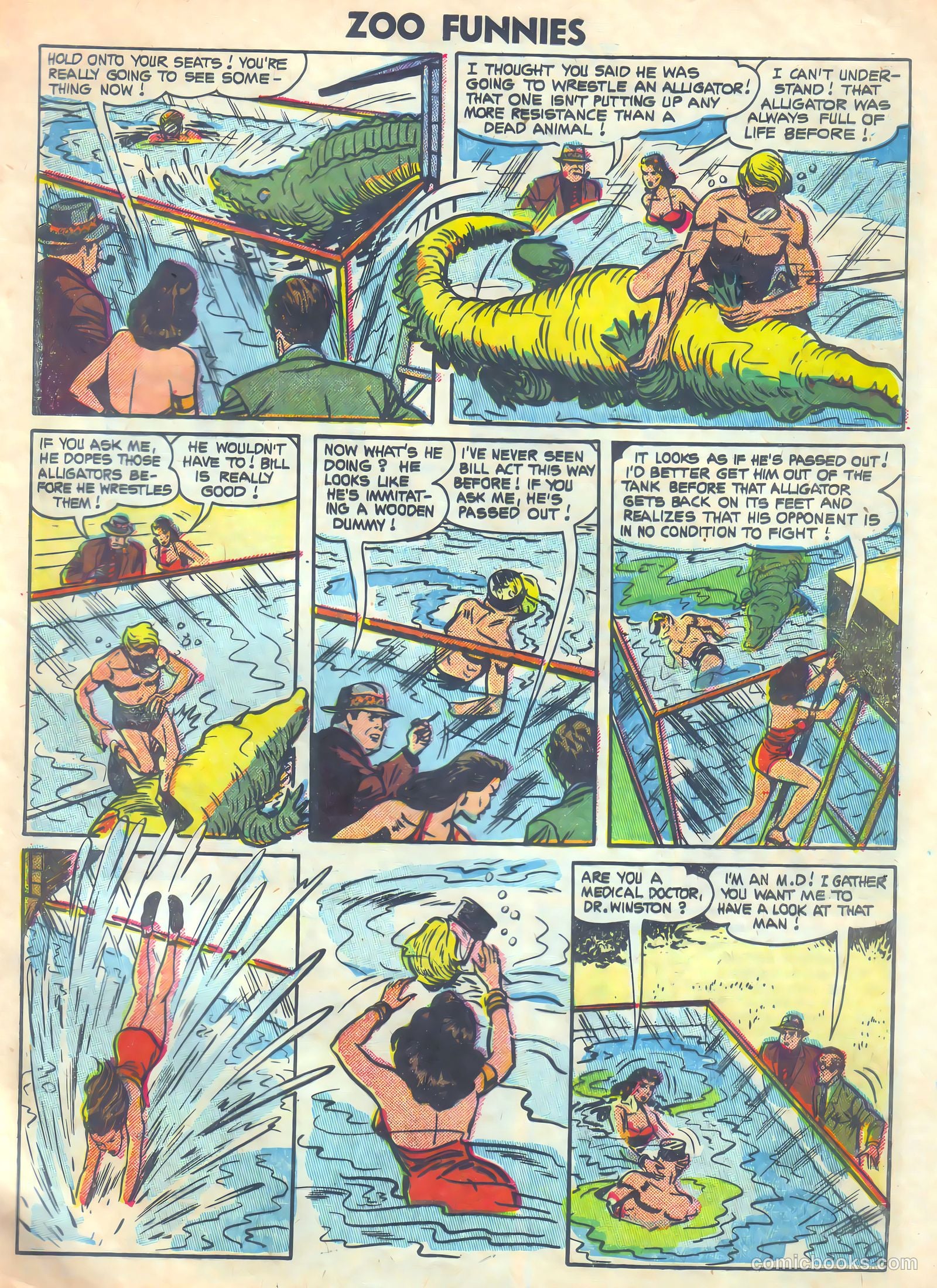 Zoo Funnies v2 #10 — page 29 of 37