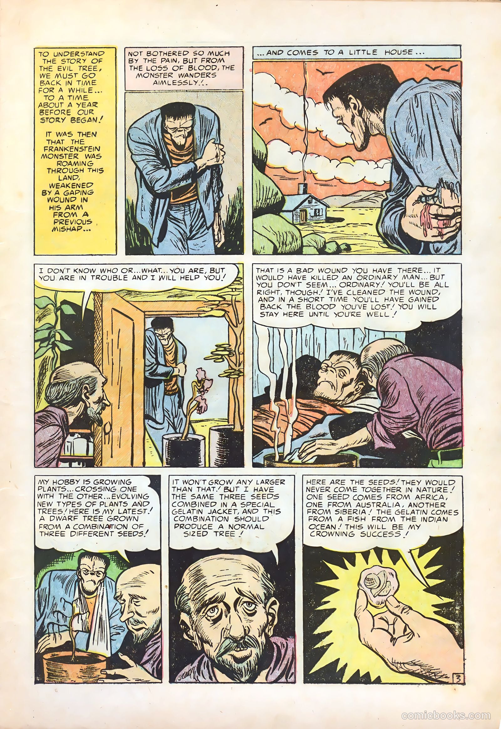 Frankenstein #31 (1945) — page 5 of 36