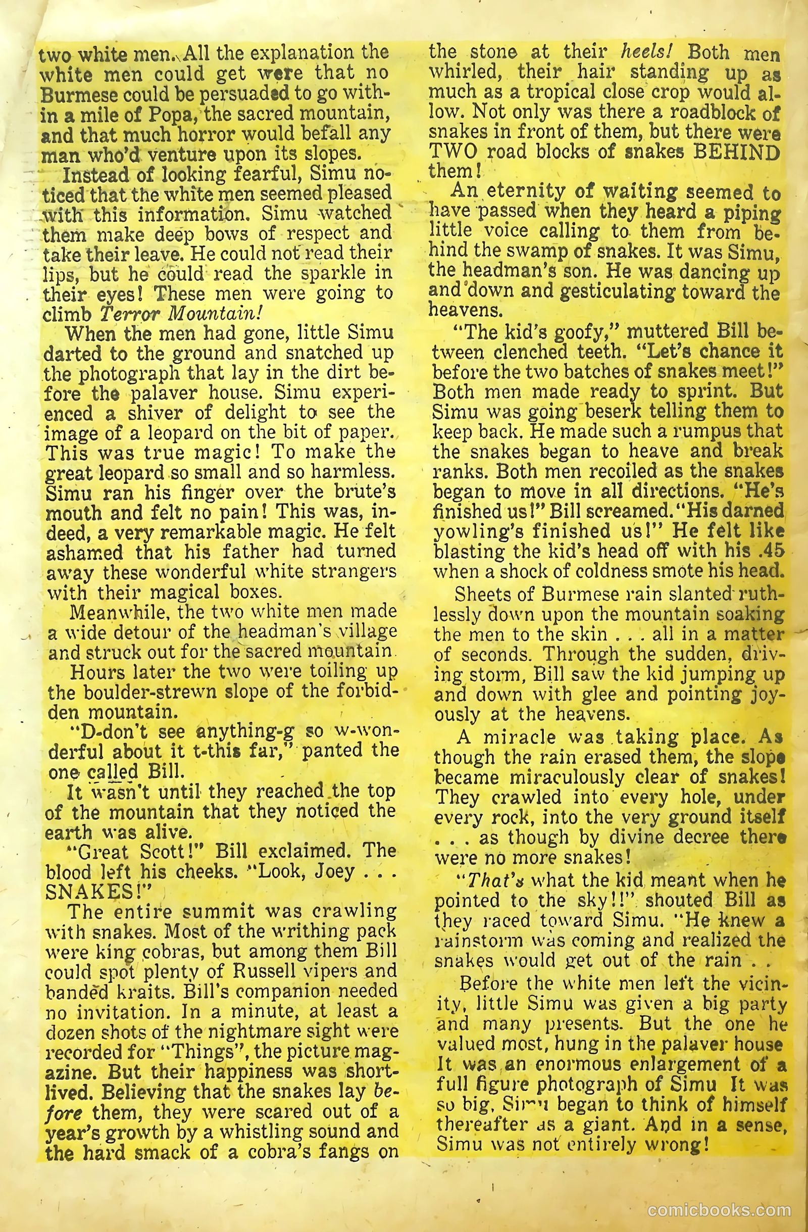cowpuncher nn #nn — page 21 of 37
