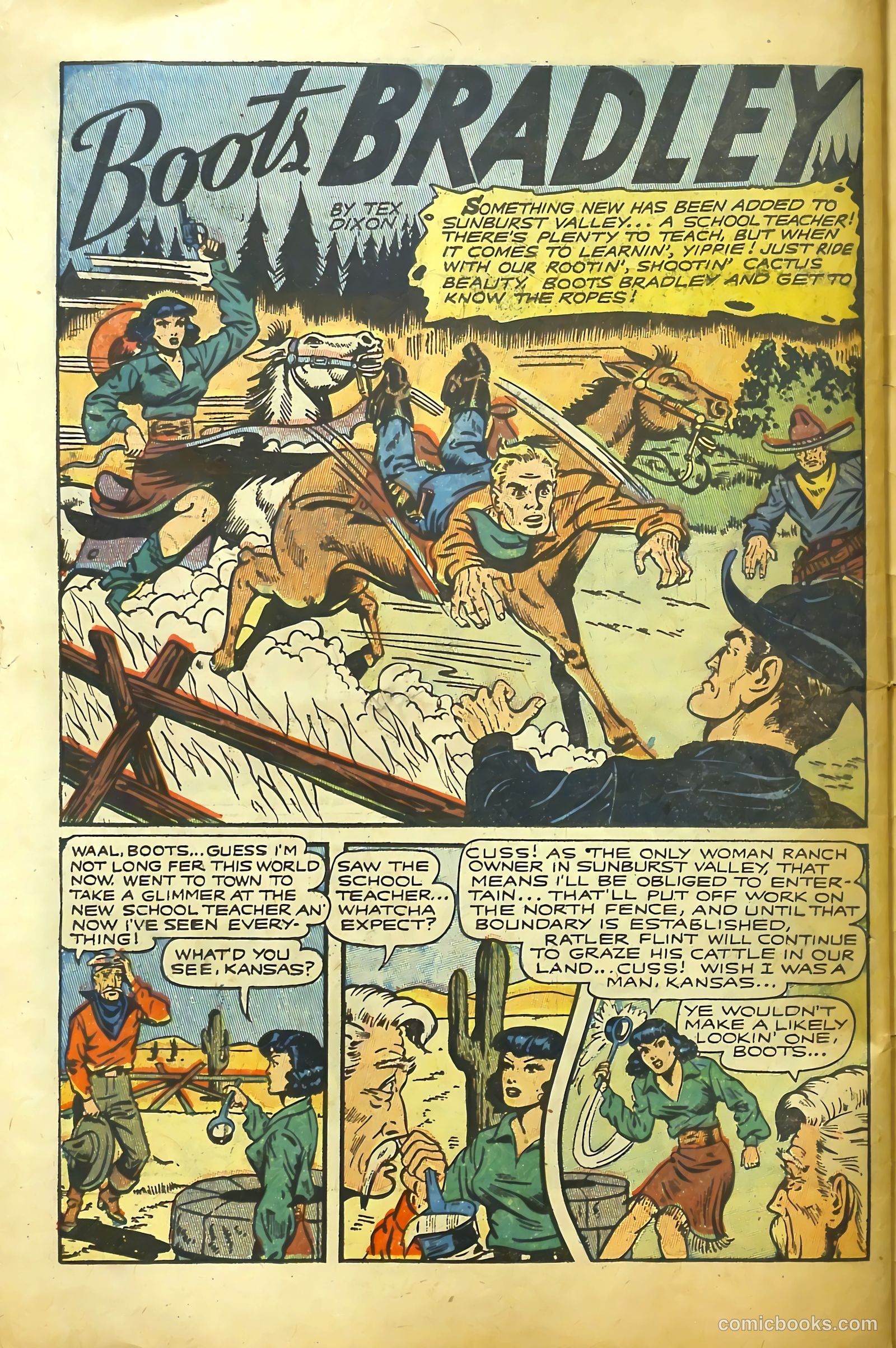cowpuncher nn #nn — page 31 of 37