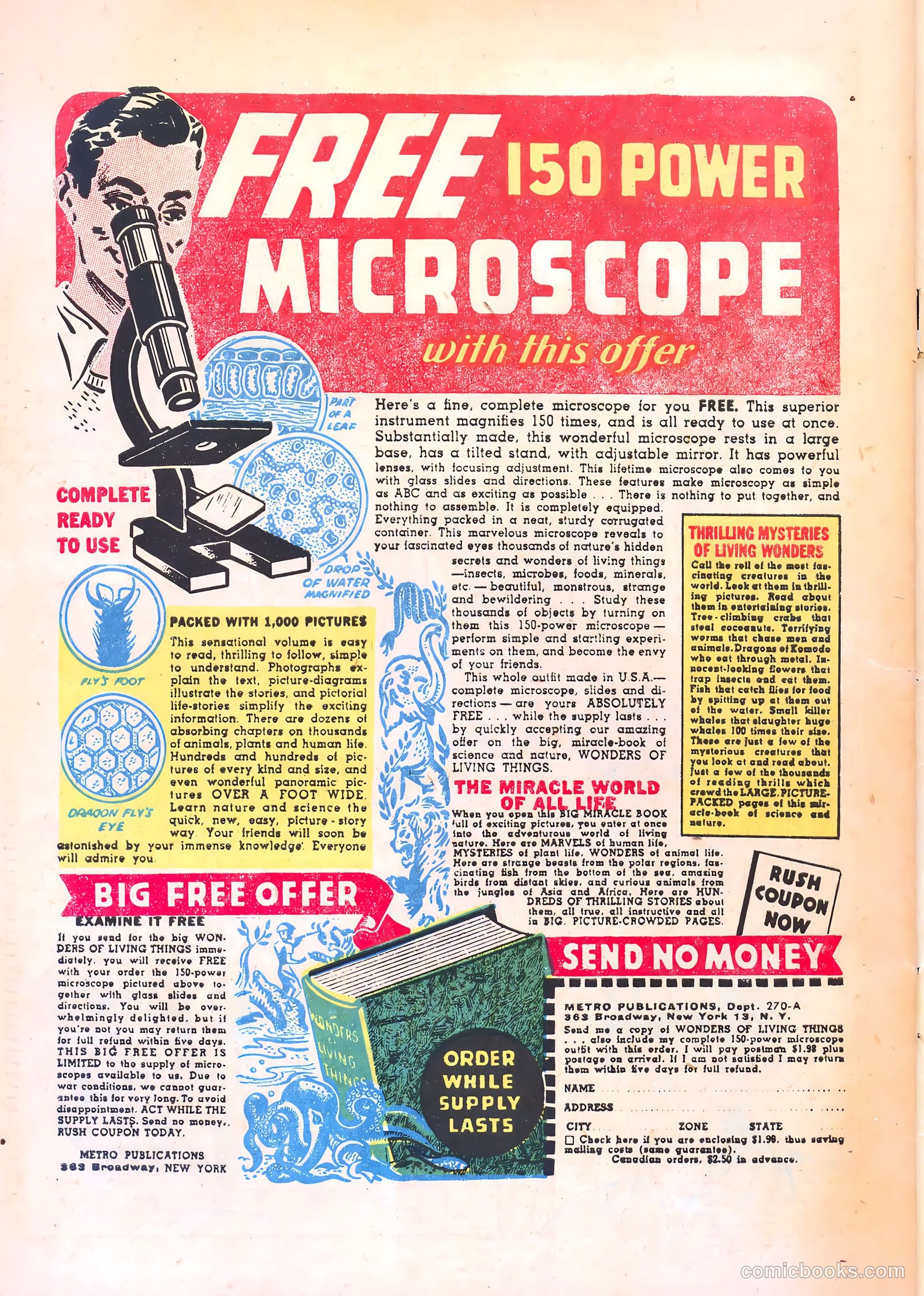 Headline Comics #17 (1949) — page 50 of 52