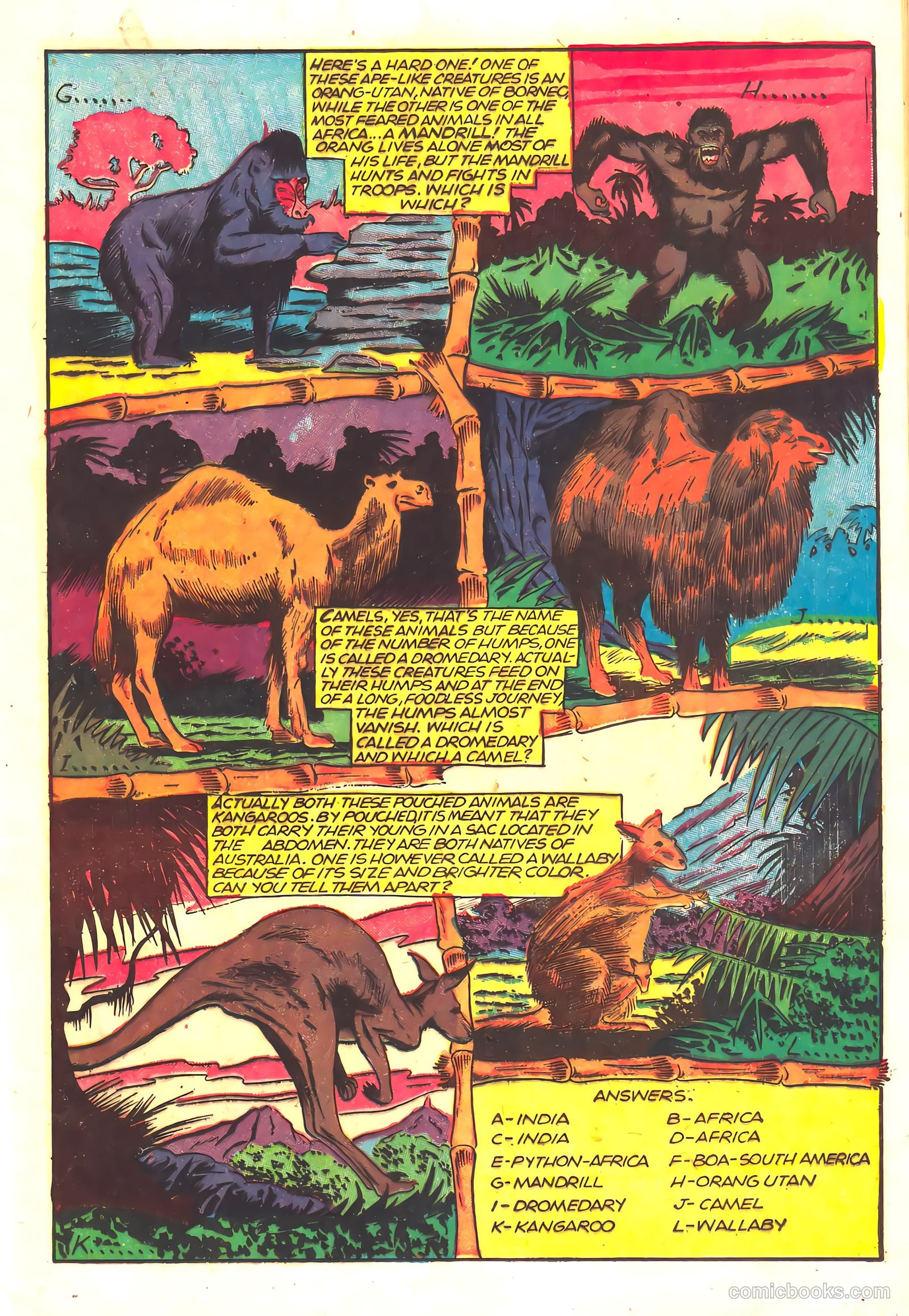 Wambi #16 (1958) — page 13 of 36