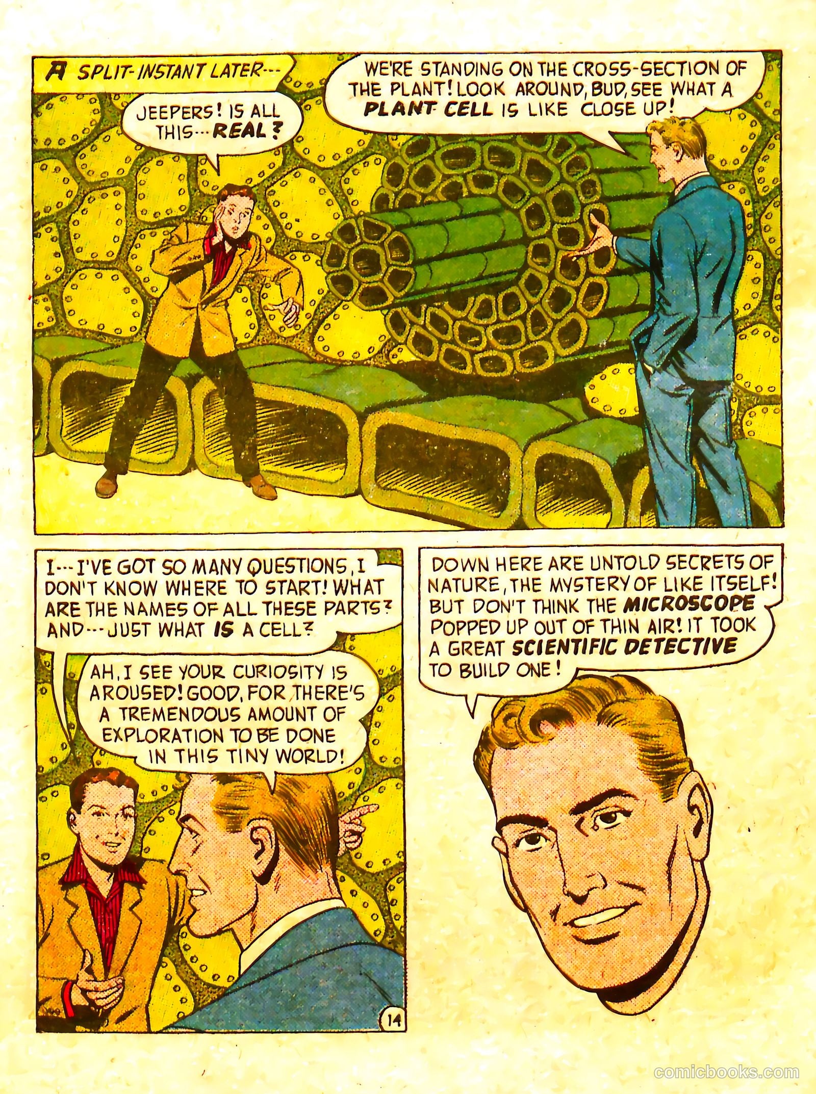 Adventures in Science #nn (1958) — page 19 of 35