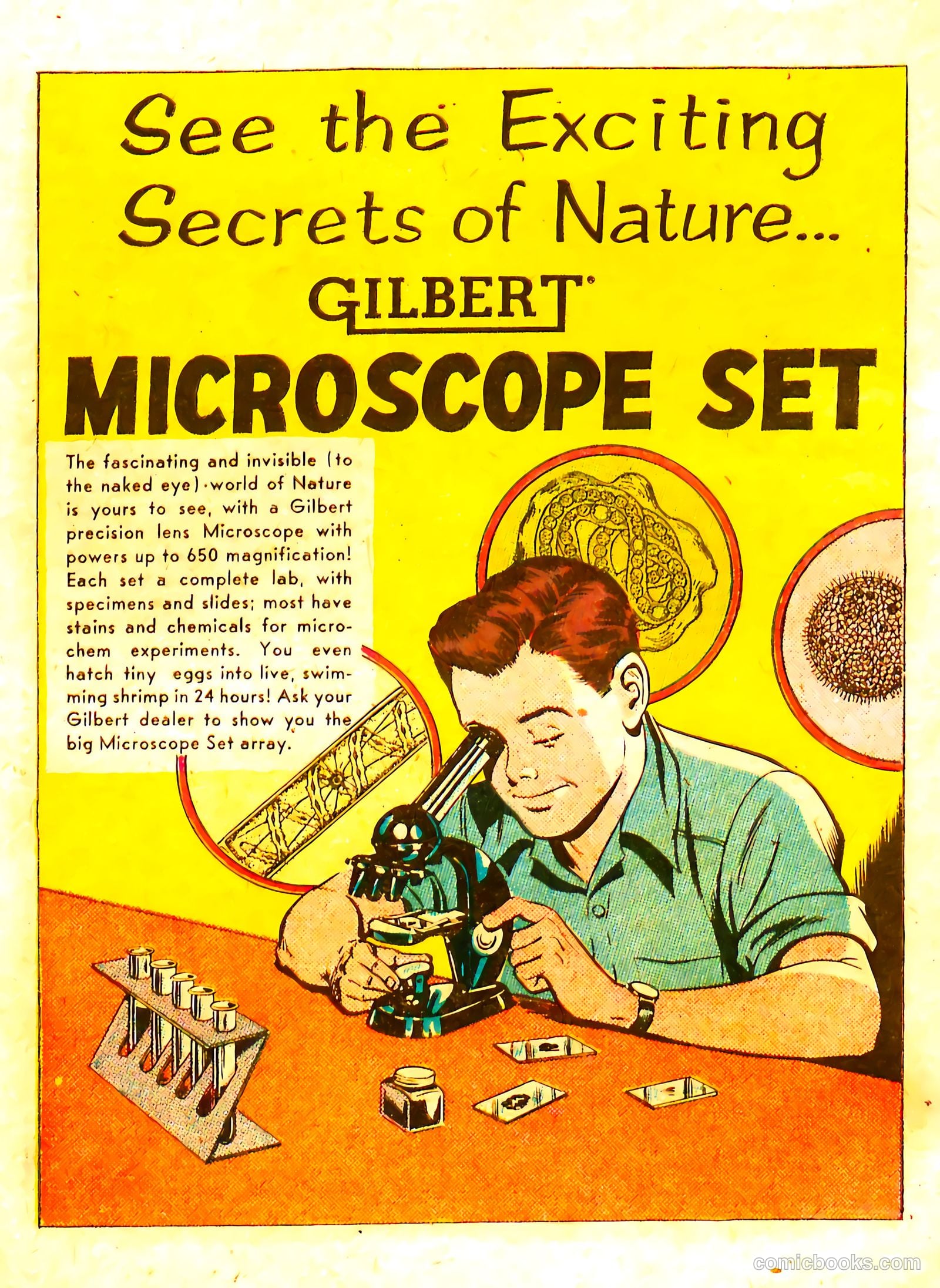 Adventures in Science #nn (1958) — page 21 of 35