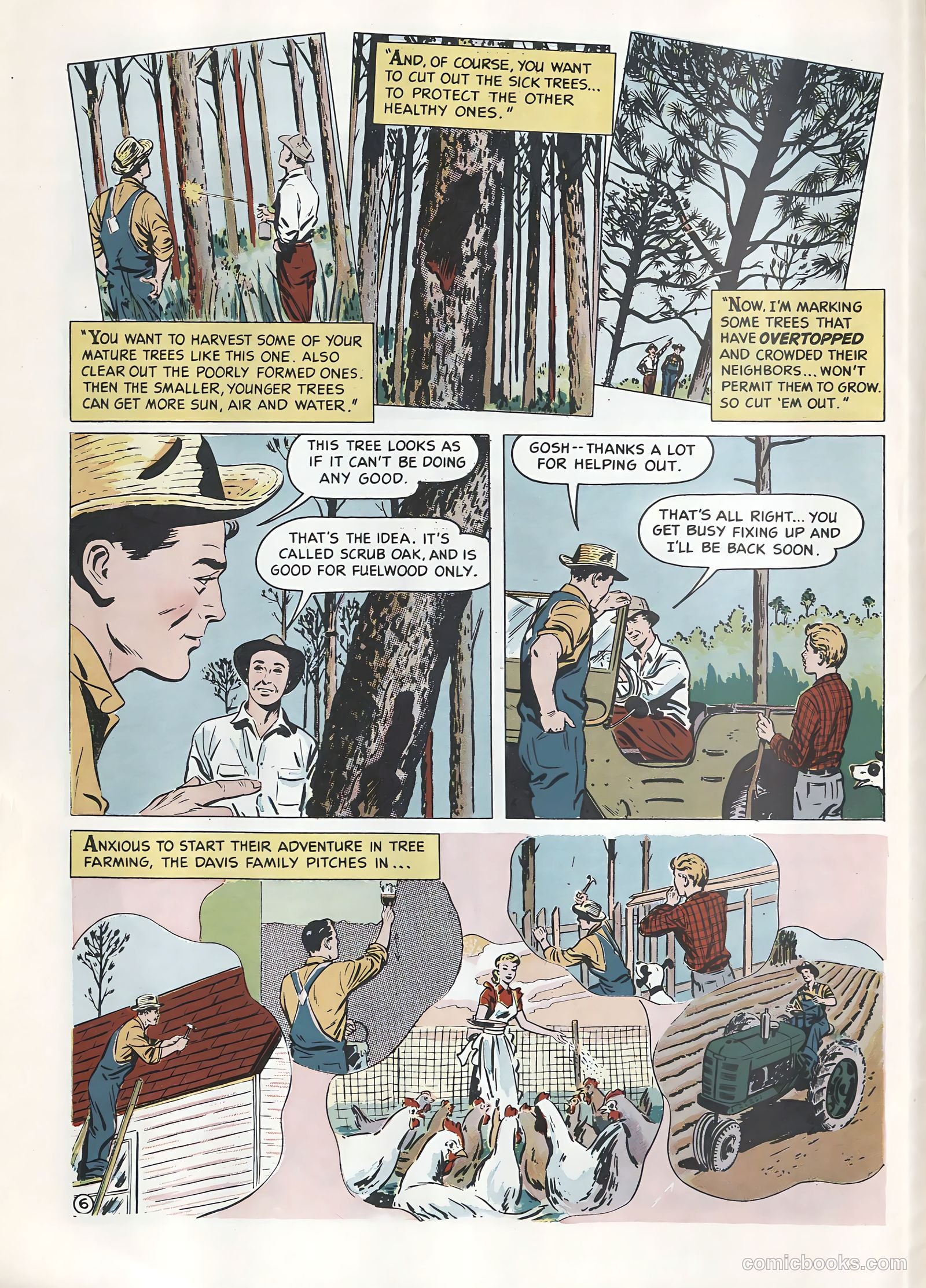 How Money Grows on Trees #nn (1949) — page 6 of 22