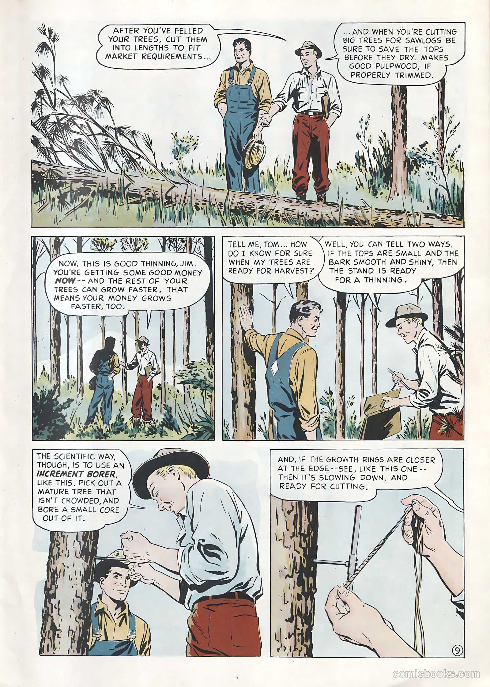 How Money Grows on Trees #nn (1949) — page 9 of 22